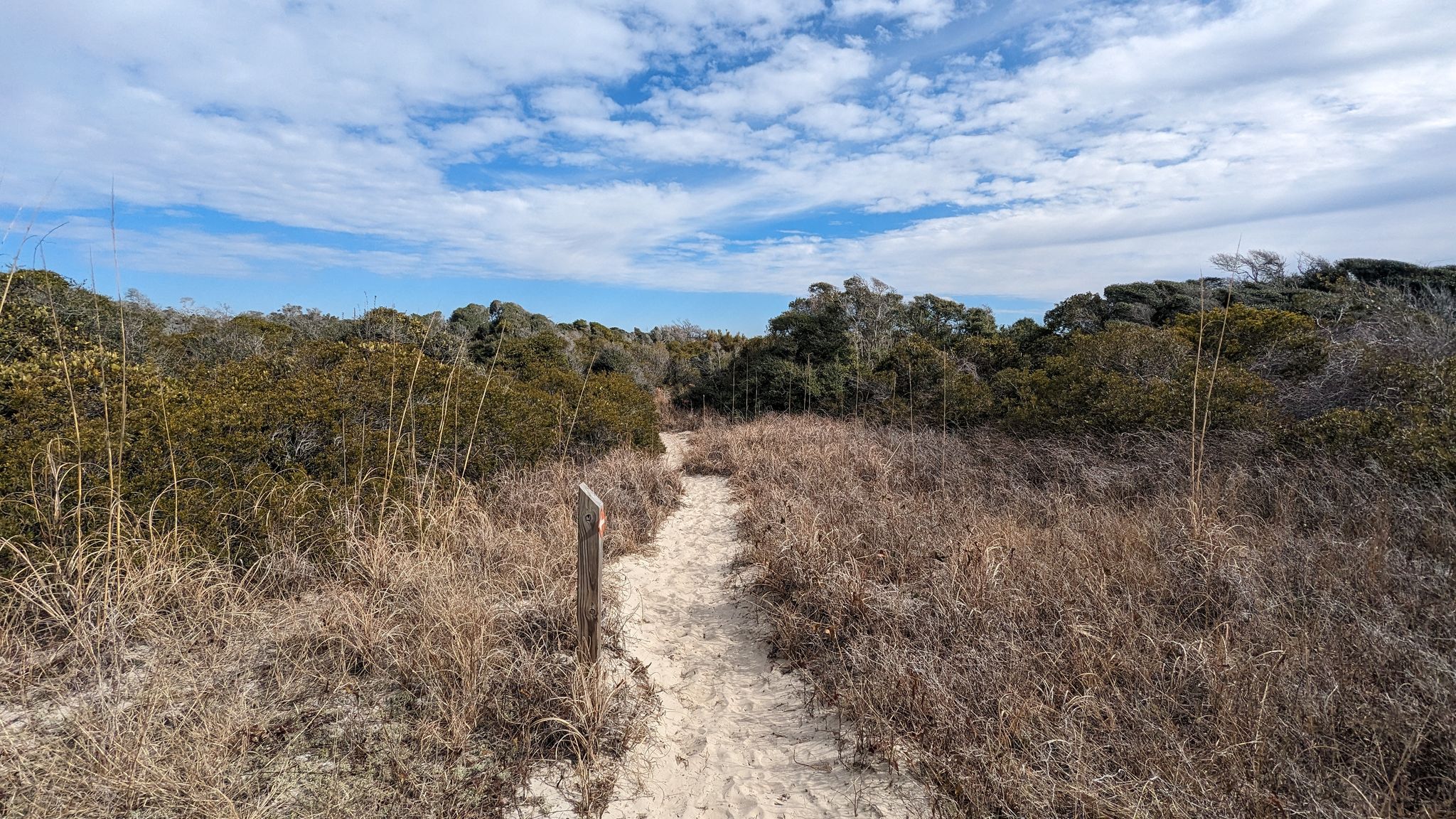 Sandy path through dry grass and green bushes under a cloudy sky. - Hiking loop from Sunset Beach