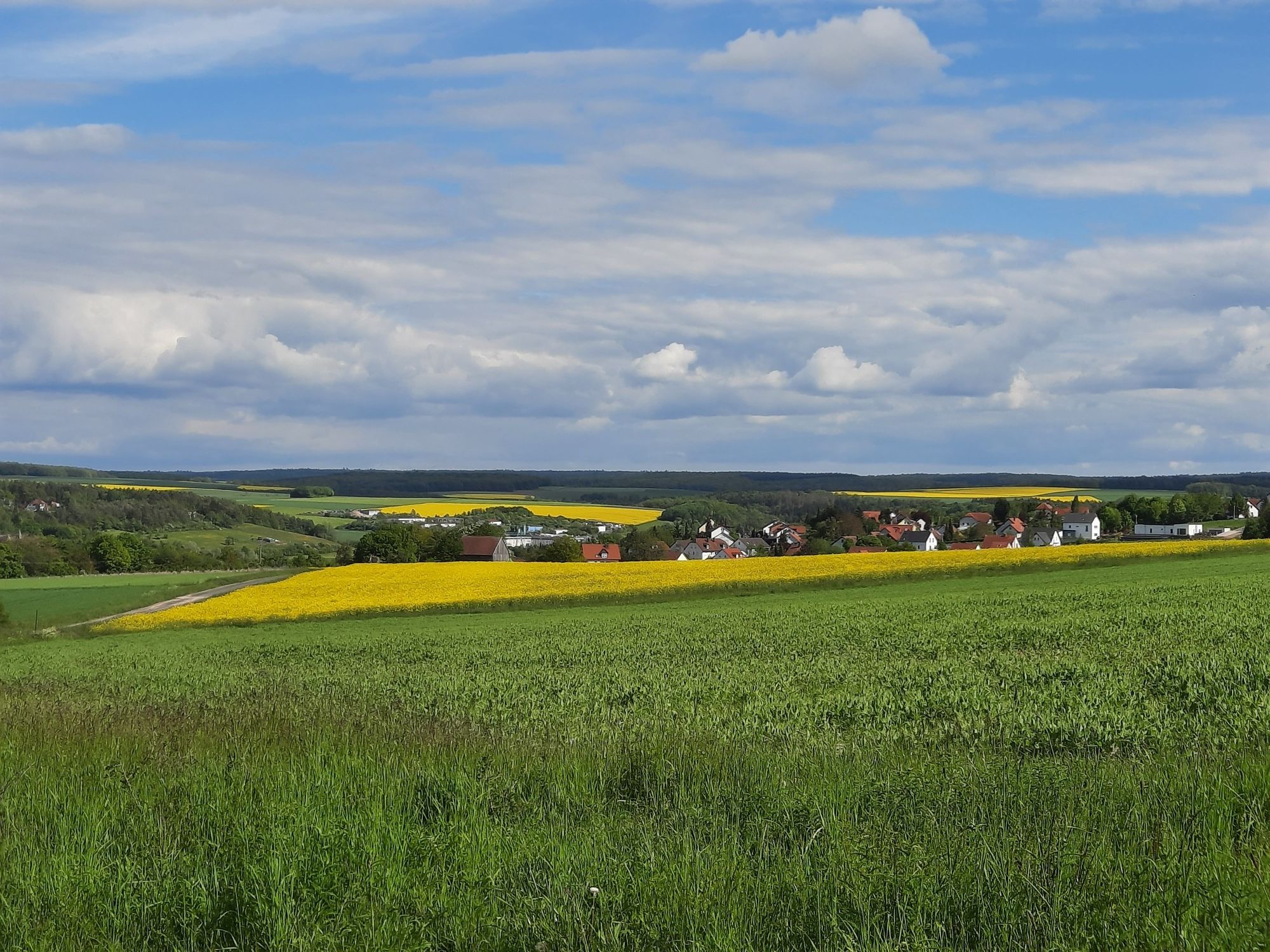 Maßbach