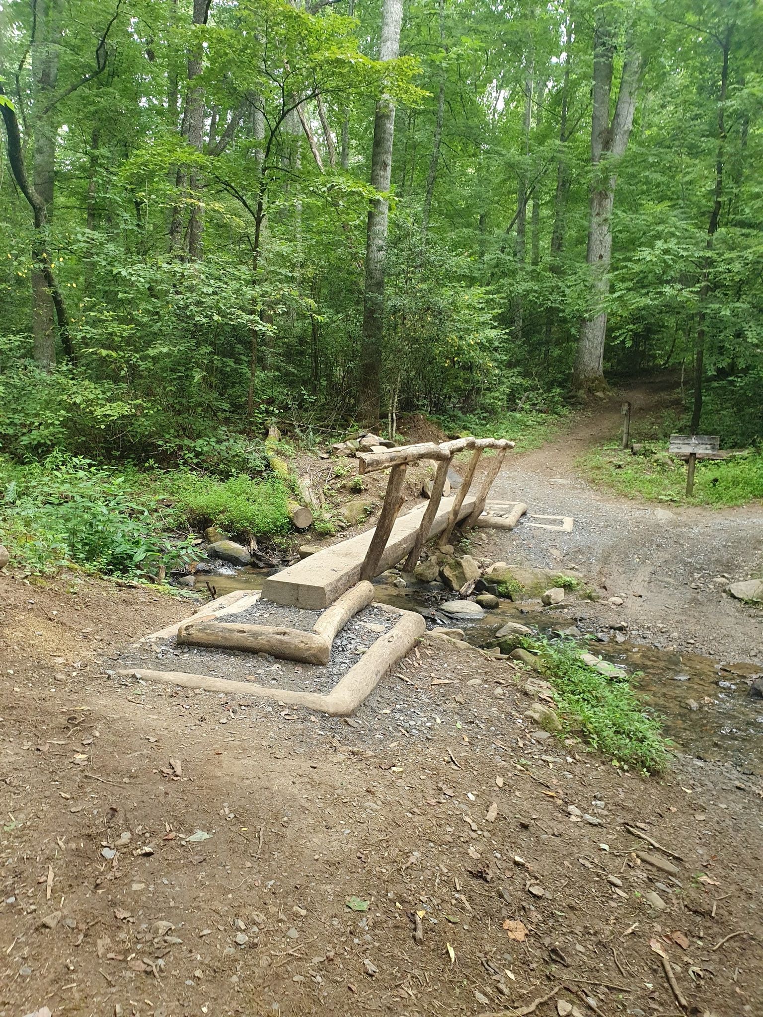 A wooden footbridge crosses a stream on a dirt path in a green forest. - Lonesome Pine Overlook