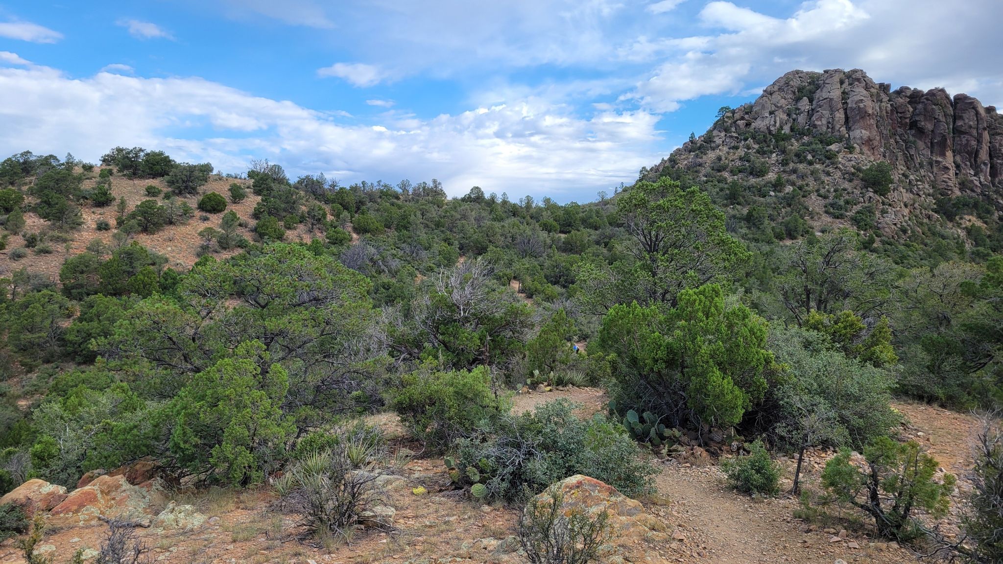 Rocky hill with green trees and shrubs under a partly cloudy sky. - Prescott Circle and Thumb Butte Loop