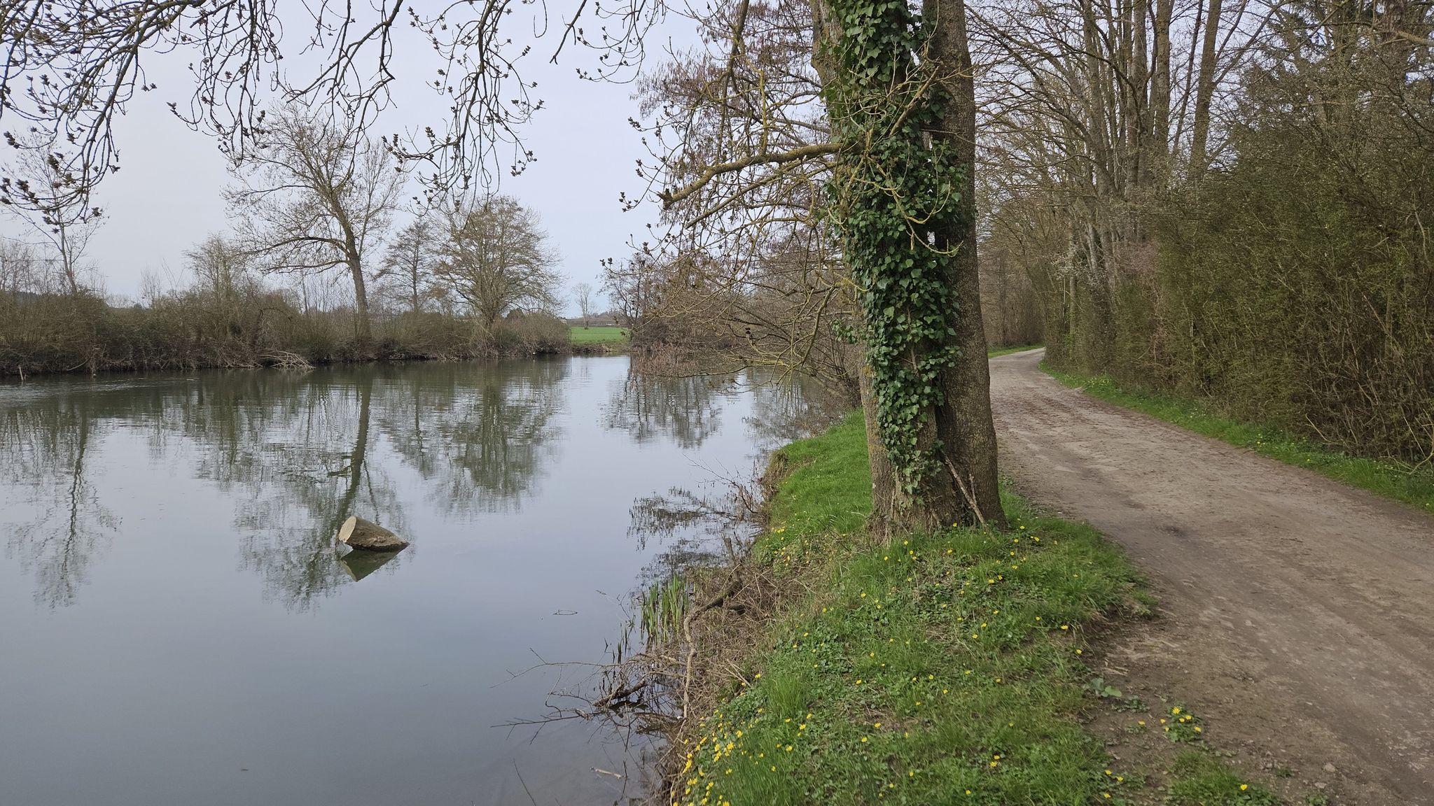 Bord de Sarthe