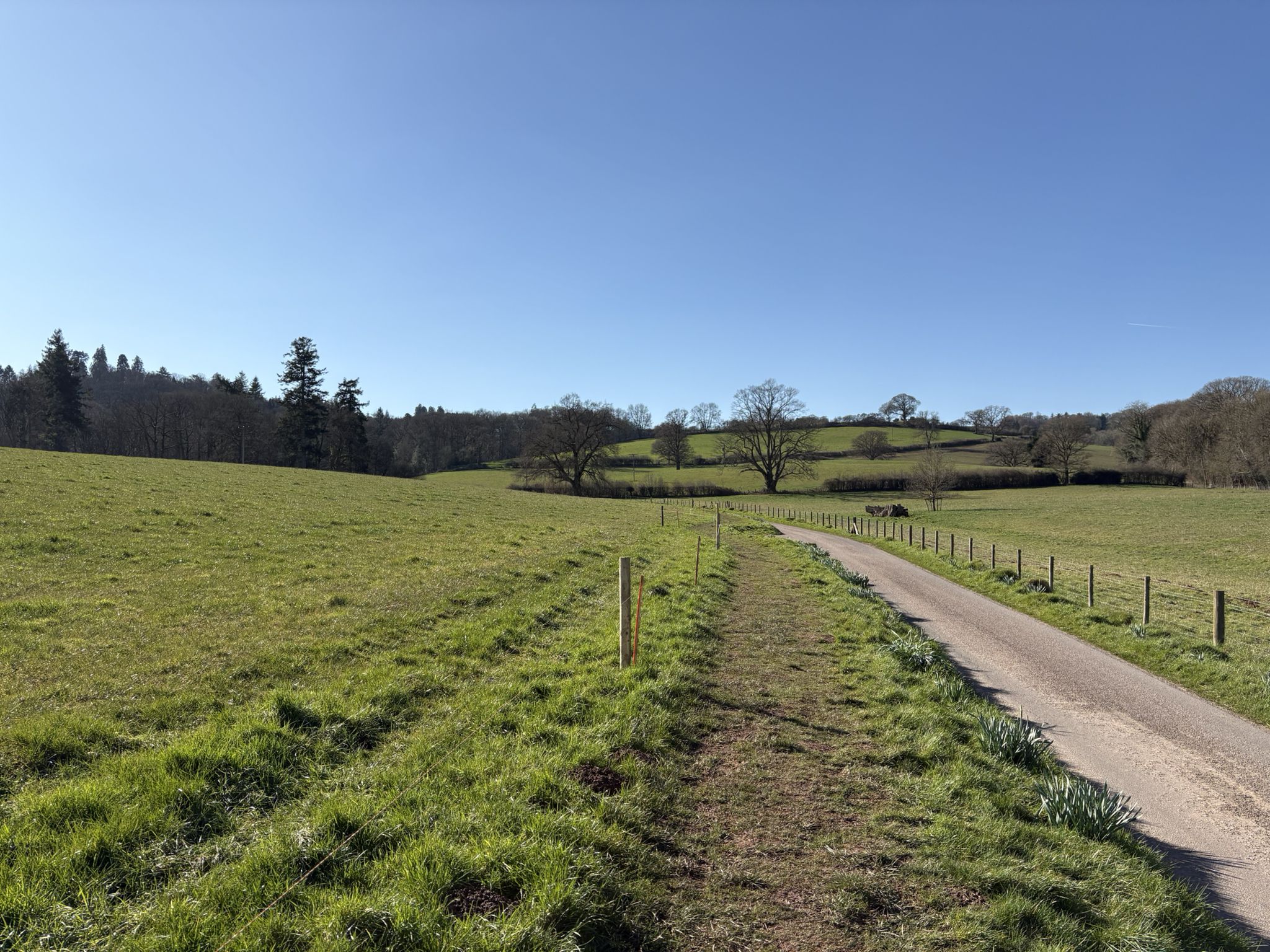 Estate walk to the woodland