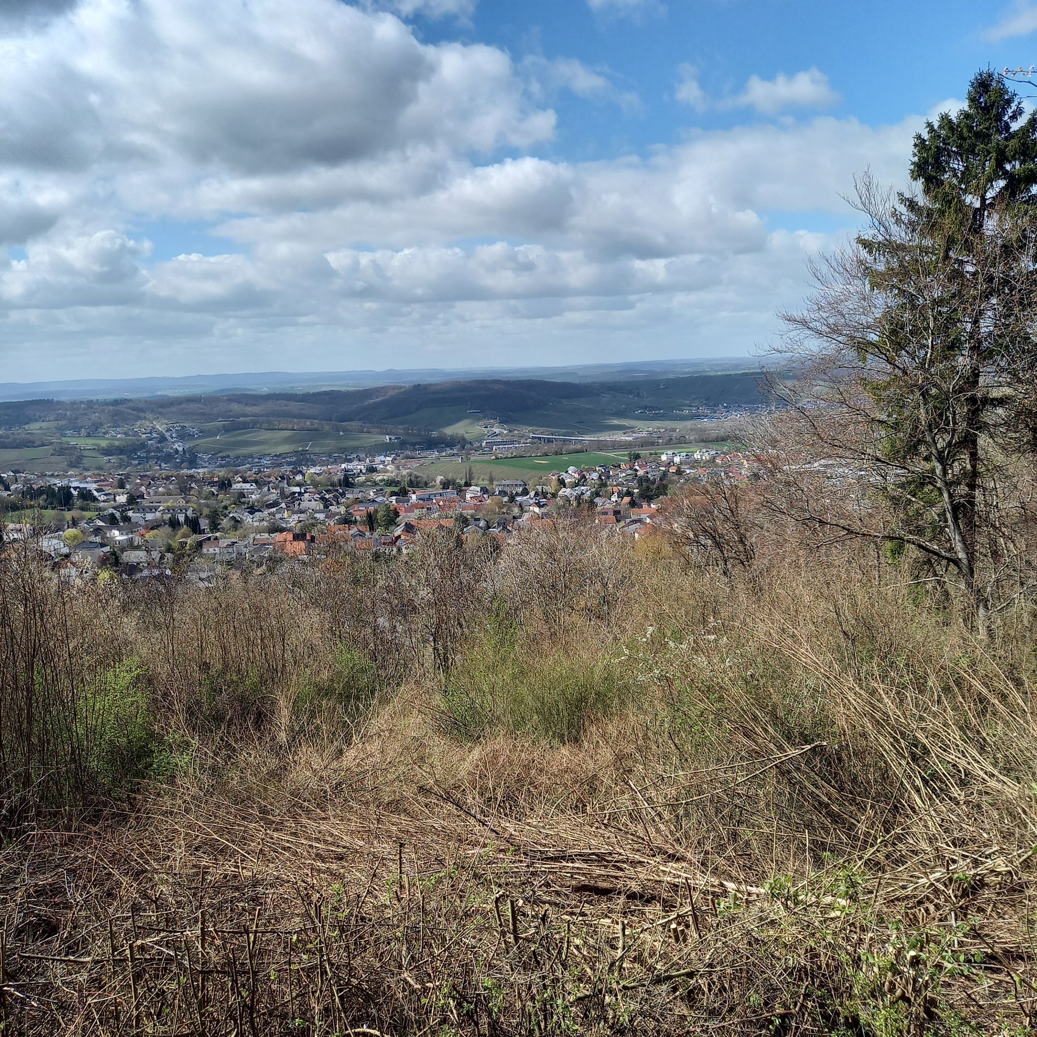 Blick auf Perl