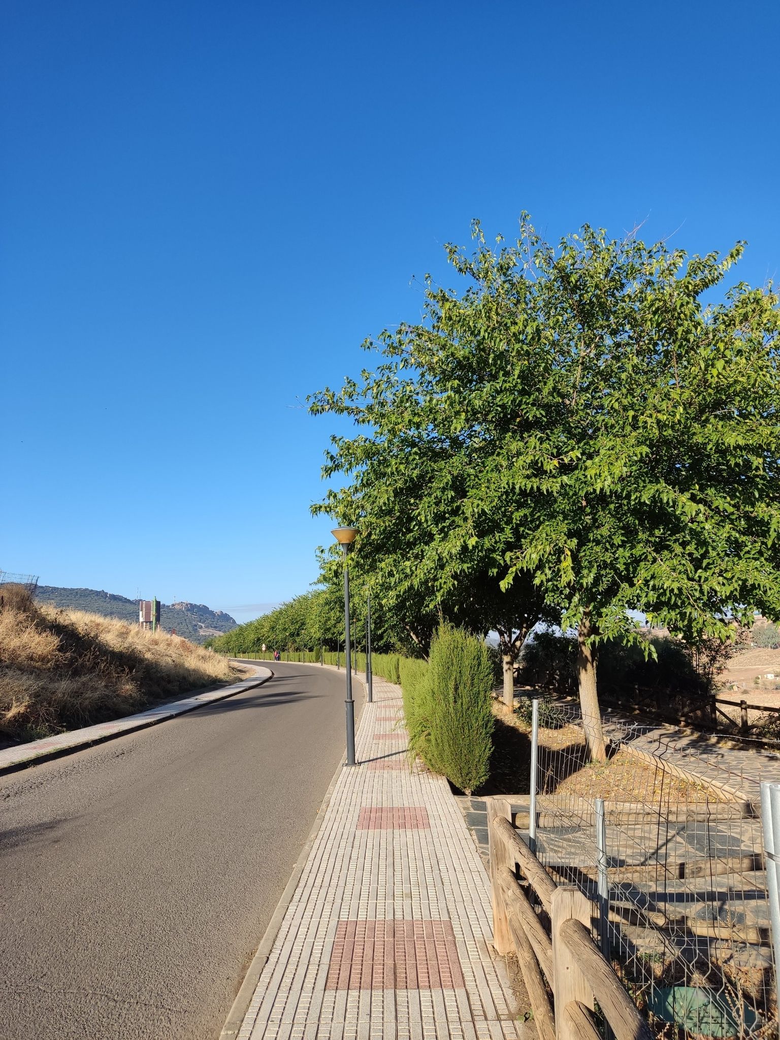 Parque Flor de Lis