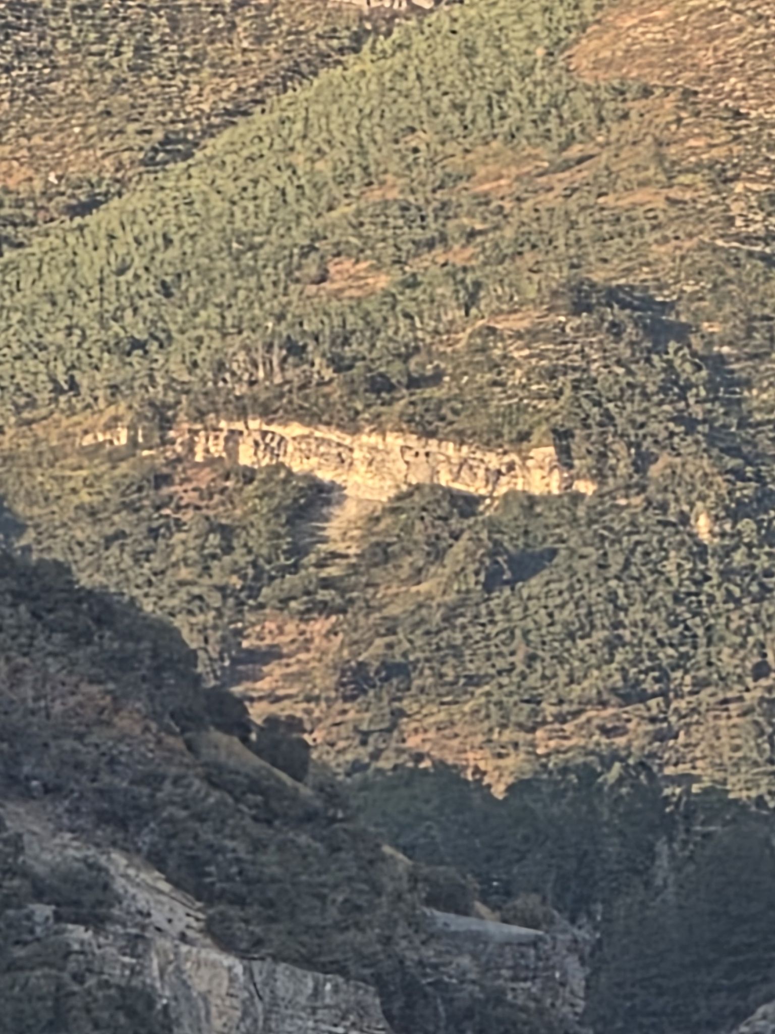 A steep, rugged mountain slope covered in dense green trees and rock formations. - Red Barn with Mountain View – Murdock Canal Trail loop from 800 E @ 985 N