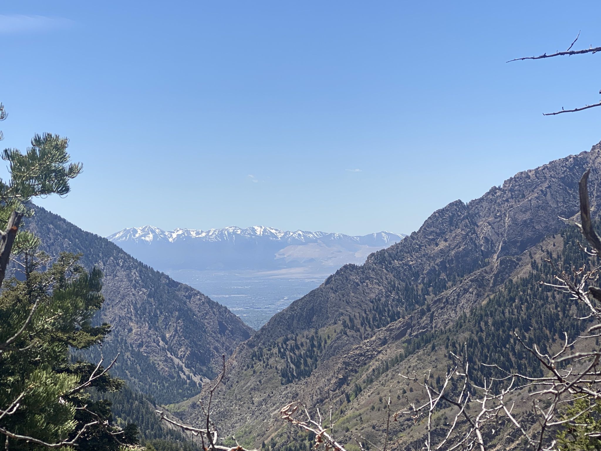 A deep mountain valley with forested slopes, leading to distant snow-capped peaks. - Mill B North Trail to Mill B Overlook
