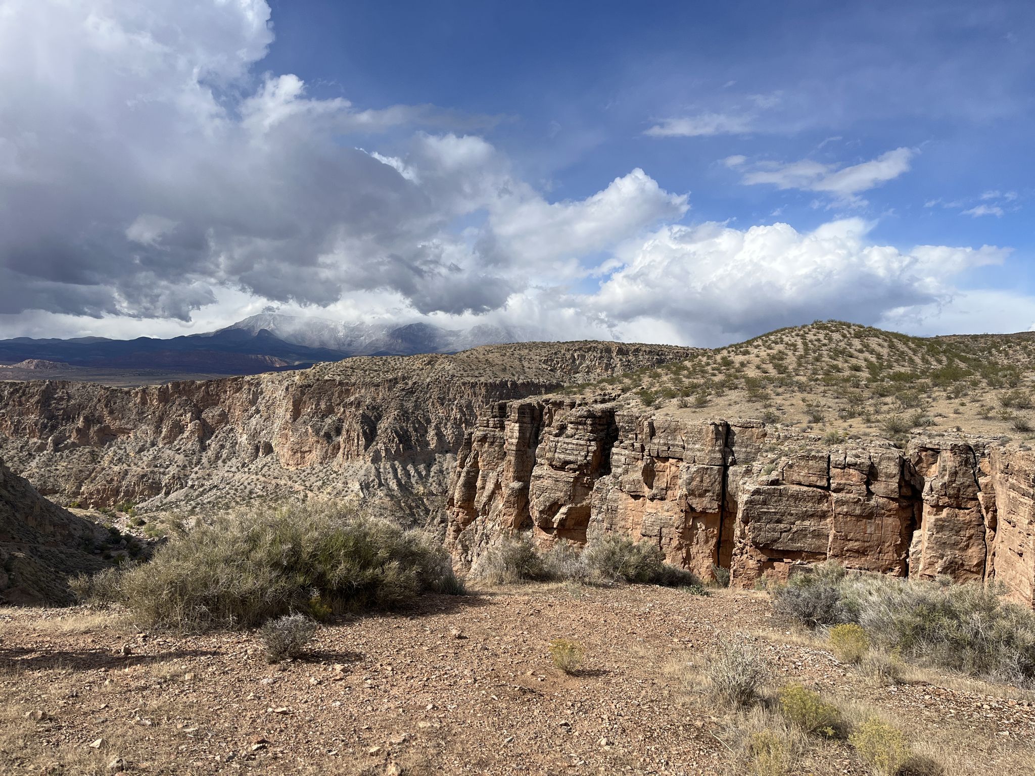 A deep desert canyon with rugged cliffs under a partly cloudy sky. - Hurricane Rim Trail loop from Hurricane