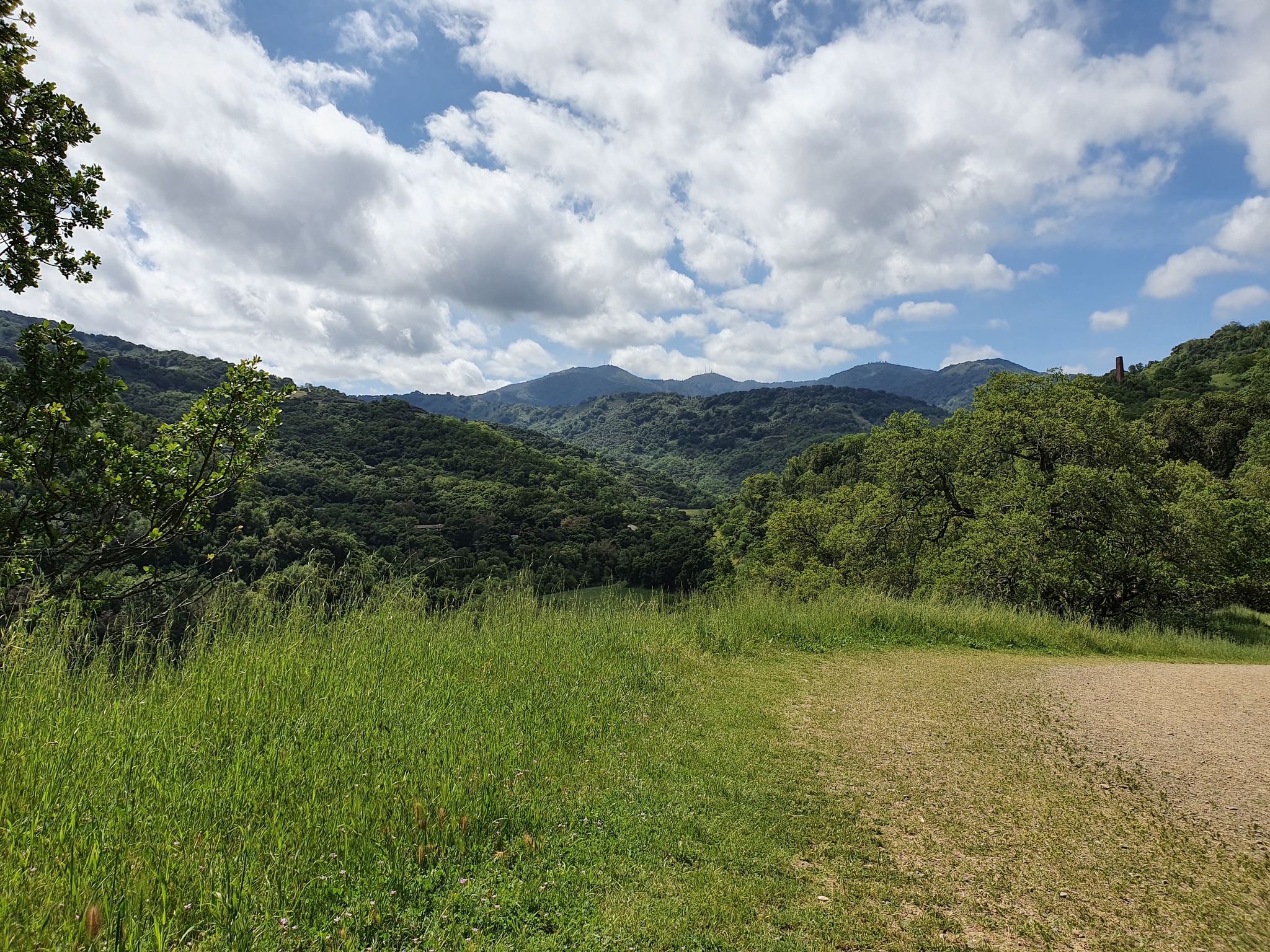 A dirt path leads to lush green forested hills under a bright, cloudy sky. - Deep Gulch and English Camp Loop