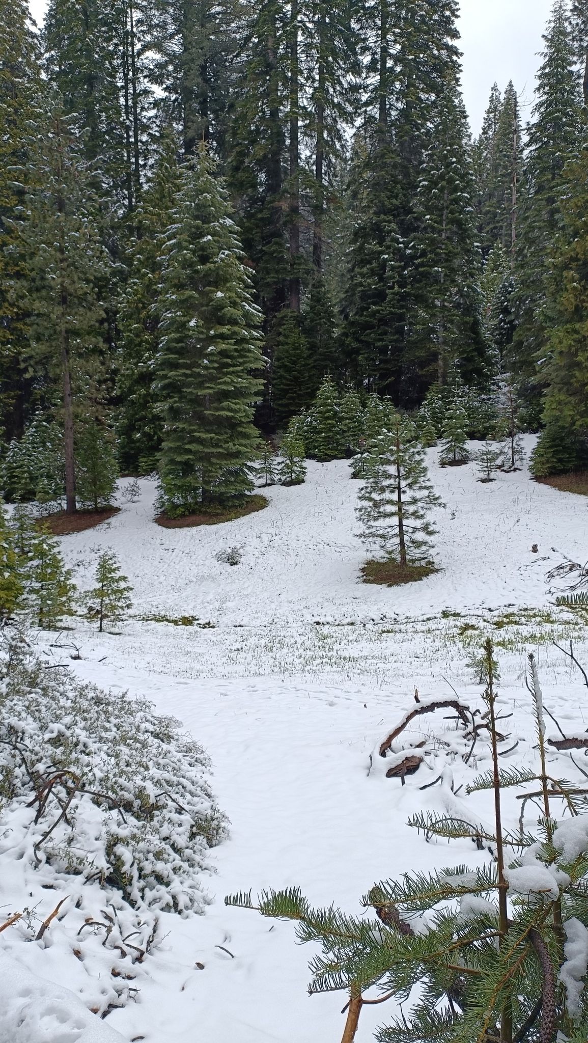 Right Meadow Trail