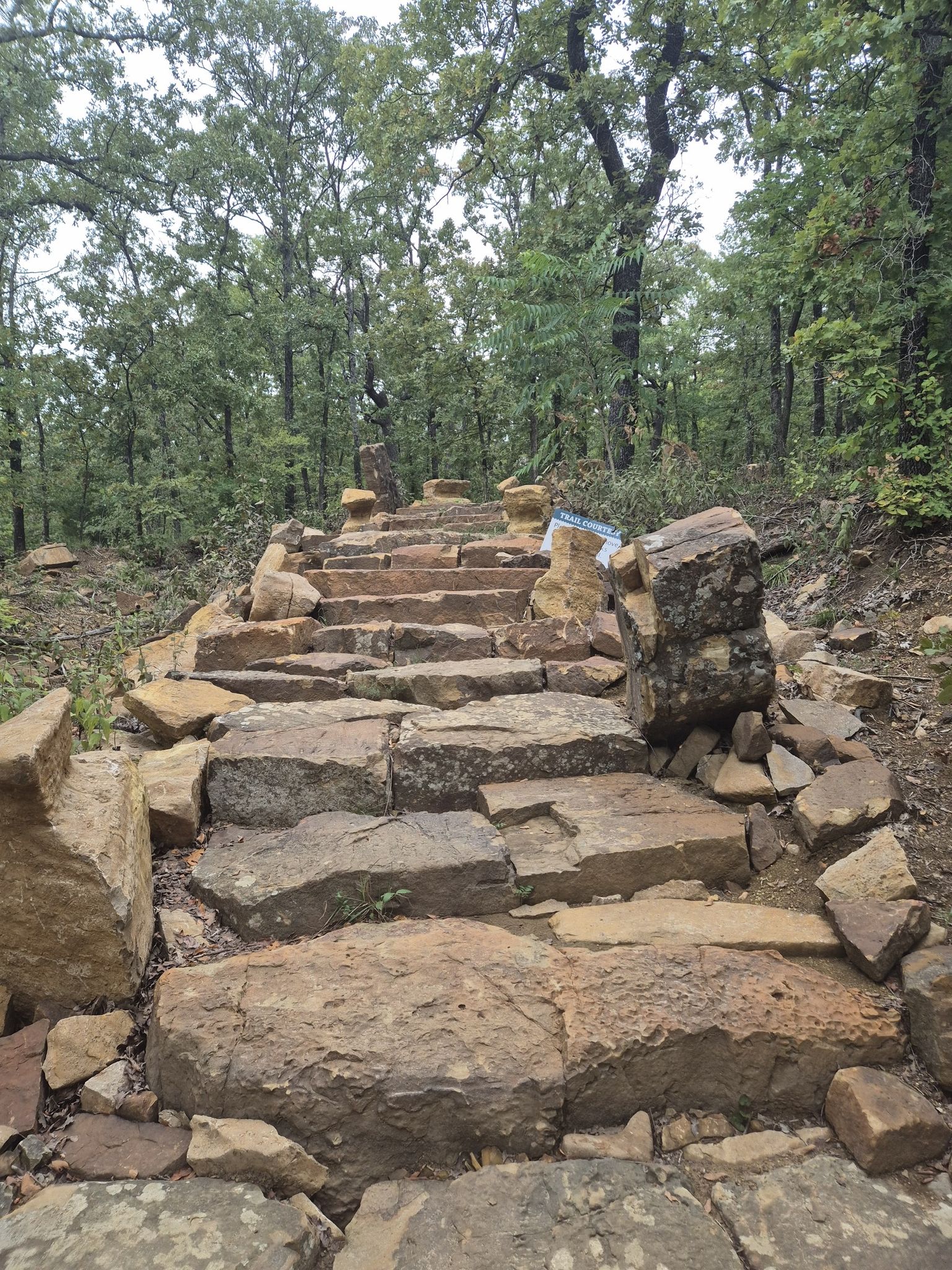 Rough-hewn stone steps ascending into a dense green forest. - Rock Area – Turkey Mountain loop from Turkey Mountain - Lower Lot