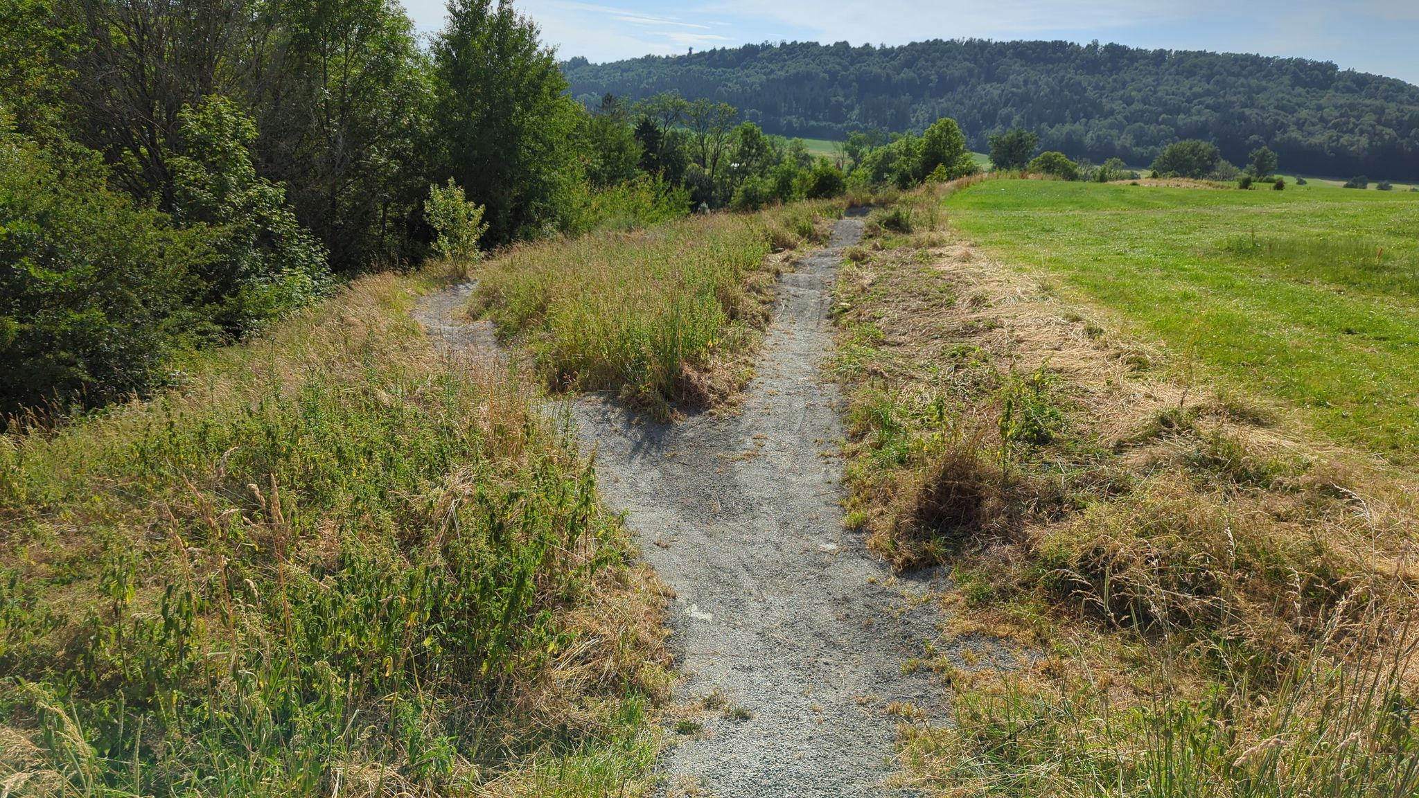 Trail