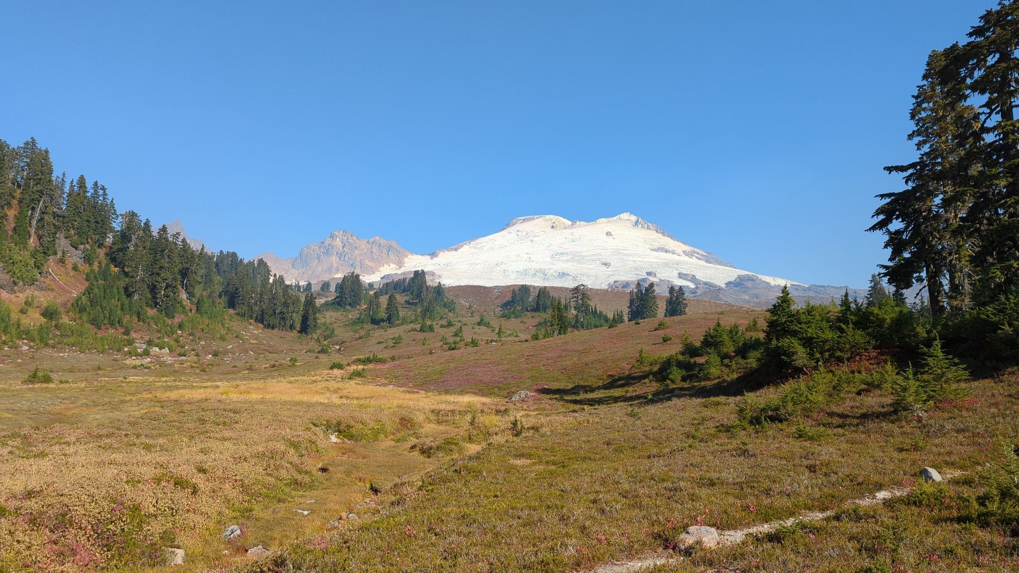 Wide valley with golden grass leading to a snow-capped mountain under clear sky. - Park Butte Trail