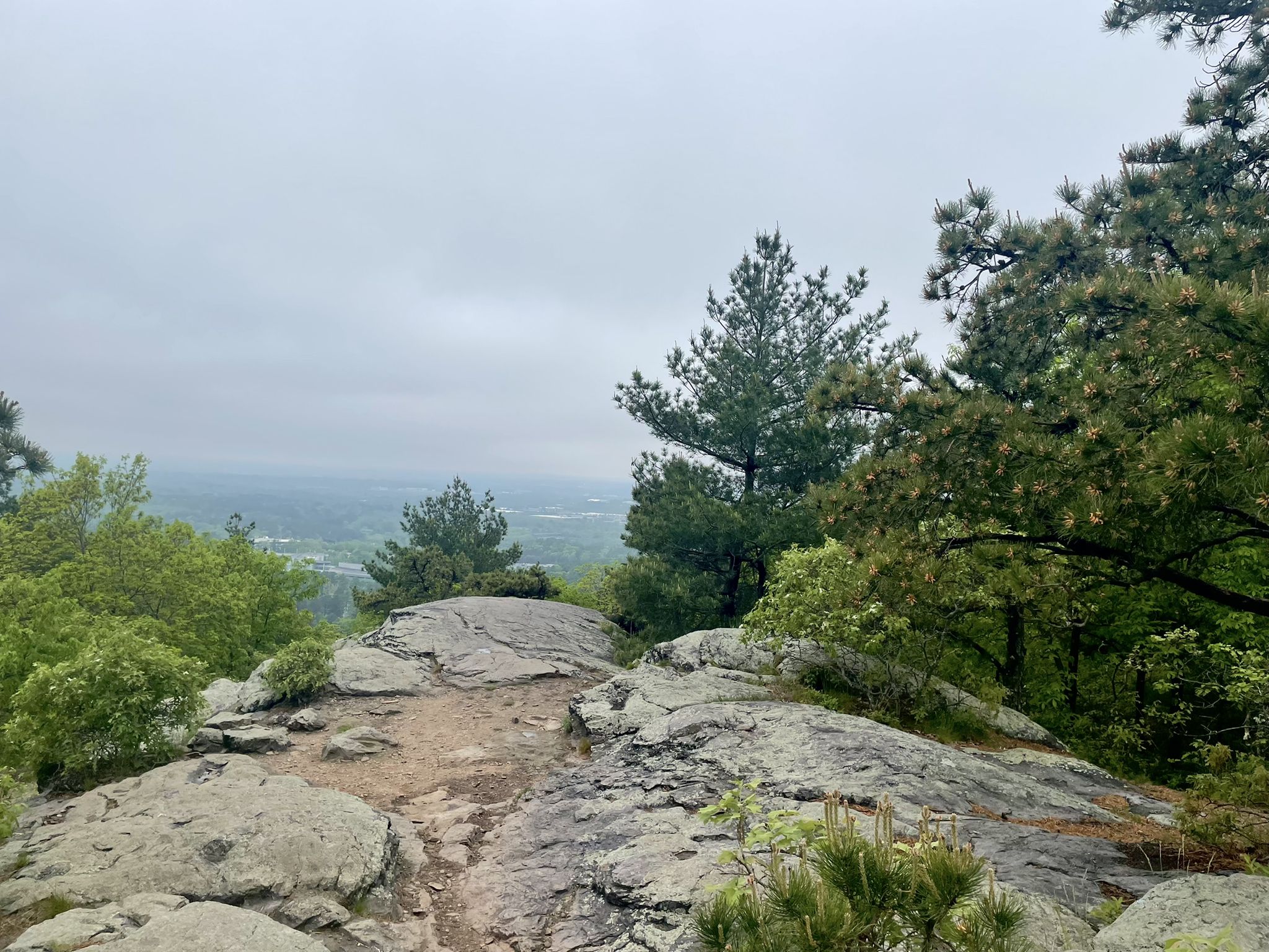 Rocky outcrop with pine trees overlooking a hazy, forested landscape on a cloudy day. - Burma Road and Skyline Trail Loop