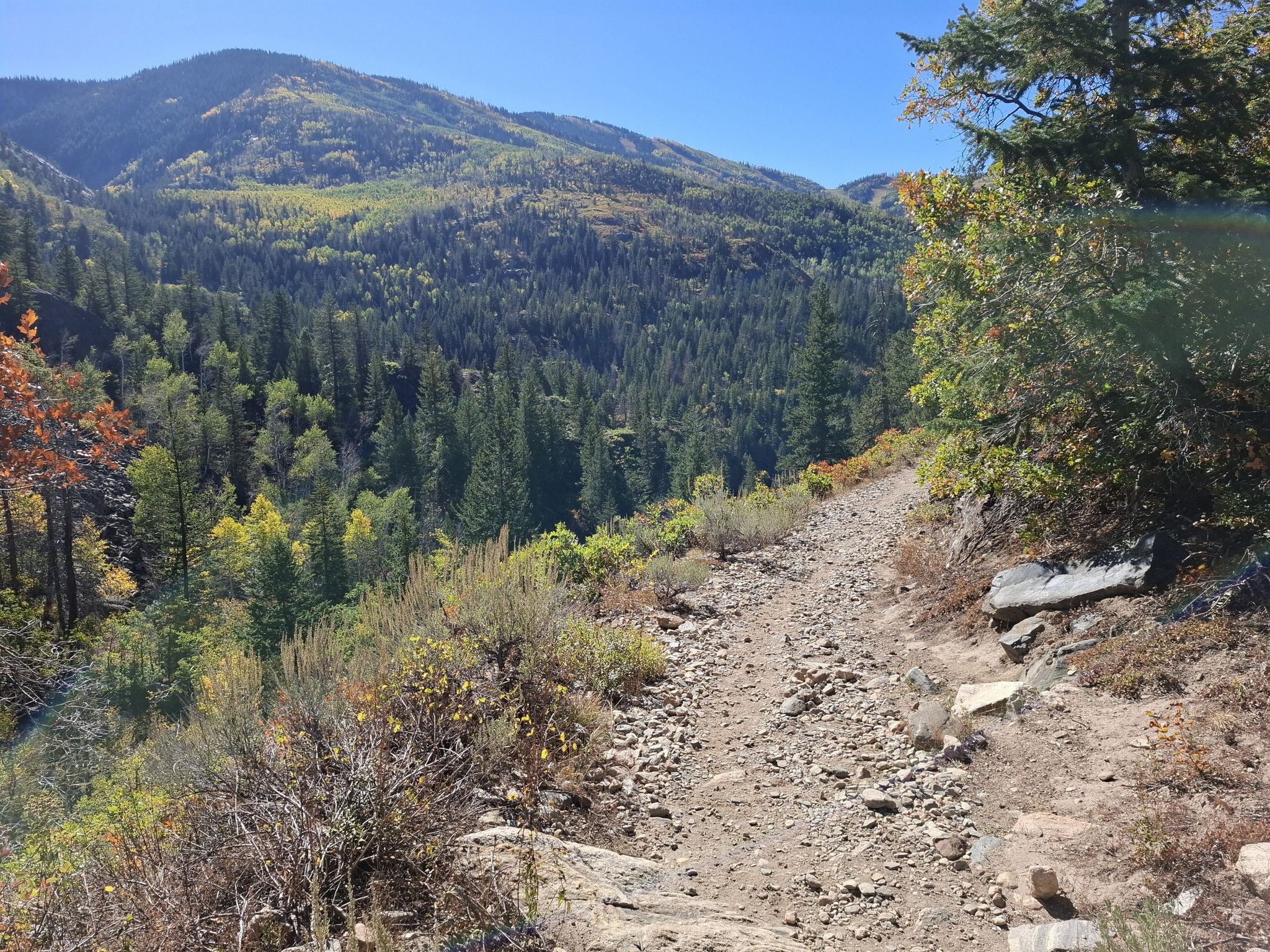 Dirt trail winding through a mountainous forest with autumn colors under a clear sky. - Uranium Mine Trail
