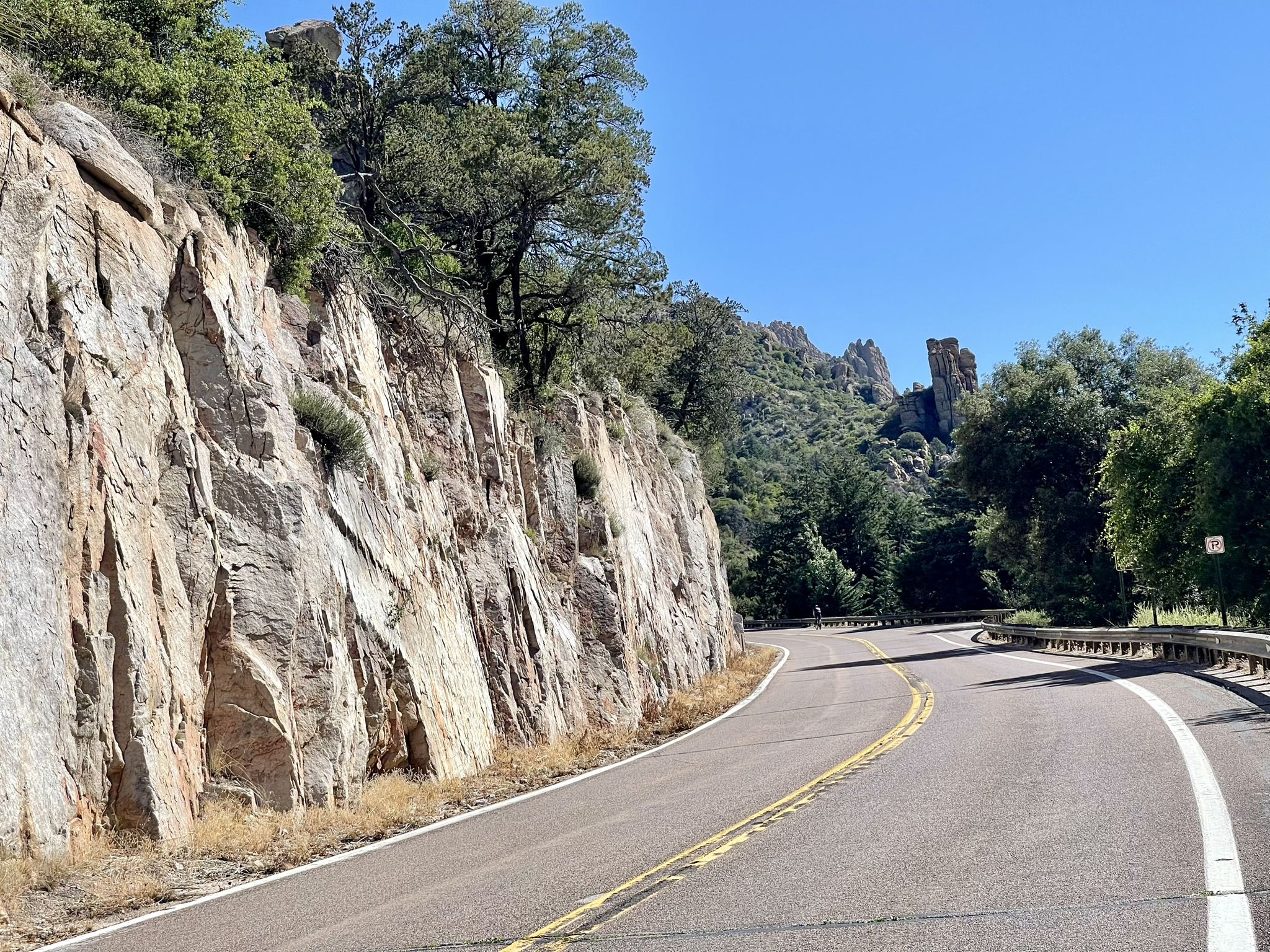 Winding paved road alongside a tall rock face and green trees. - Bug Springs Trail