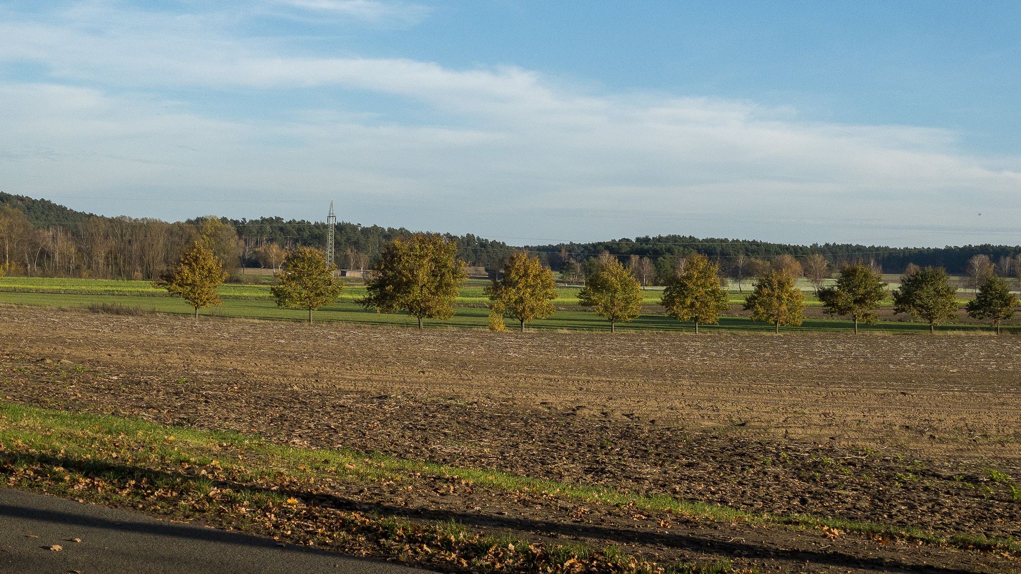 Blick nach Westen