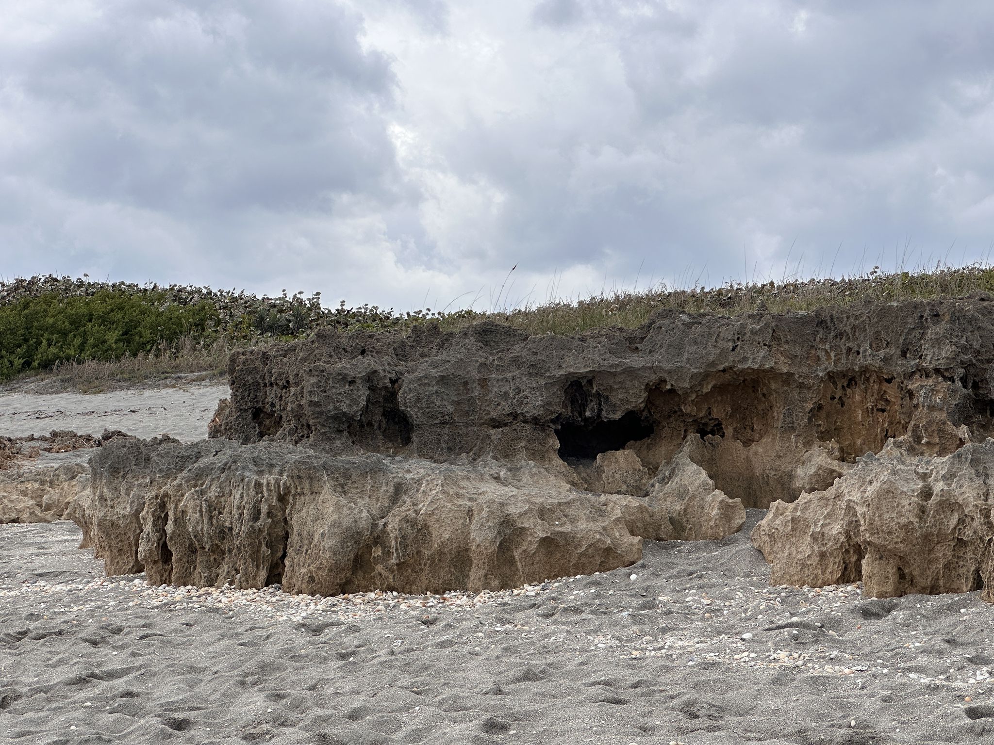 Eroded rock formations on a sandy beach under an overcast sky. - Blowing Rocks Nature Preserve