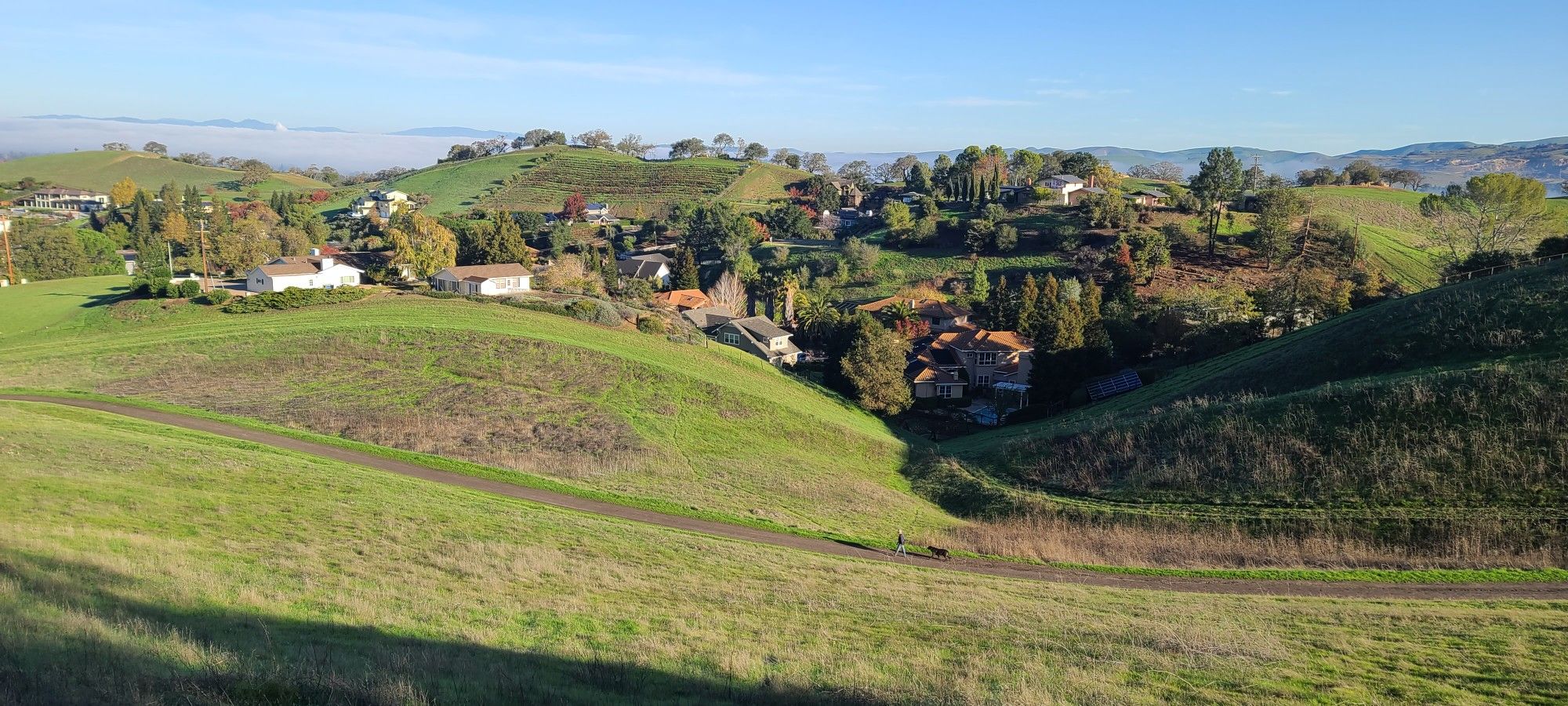 Green rolling hills with houses nestled in valleys under a clear sky. - Ridge Top Trail – Costanoan Trail loop from Walnut Heights