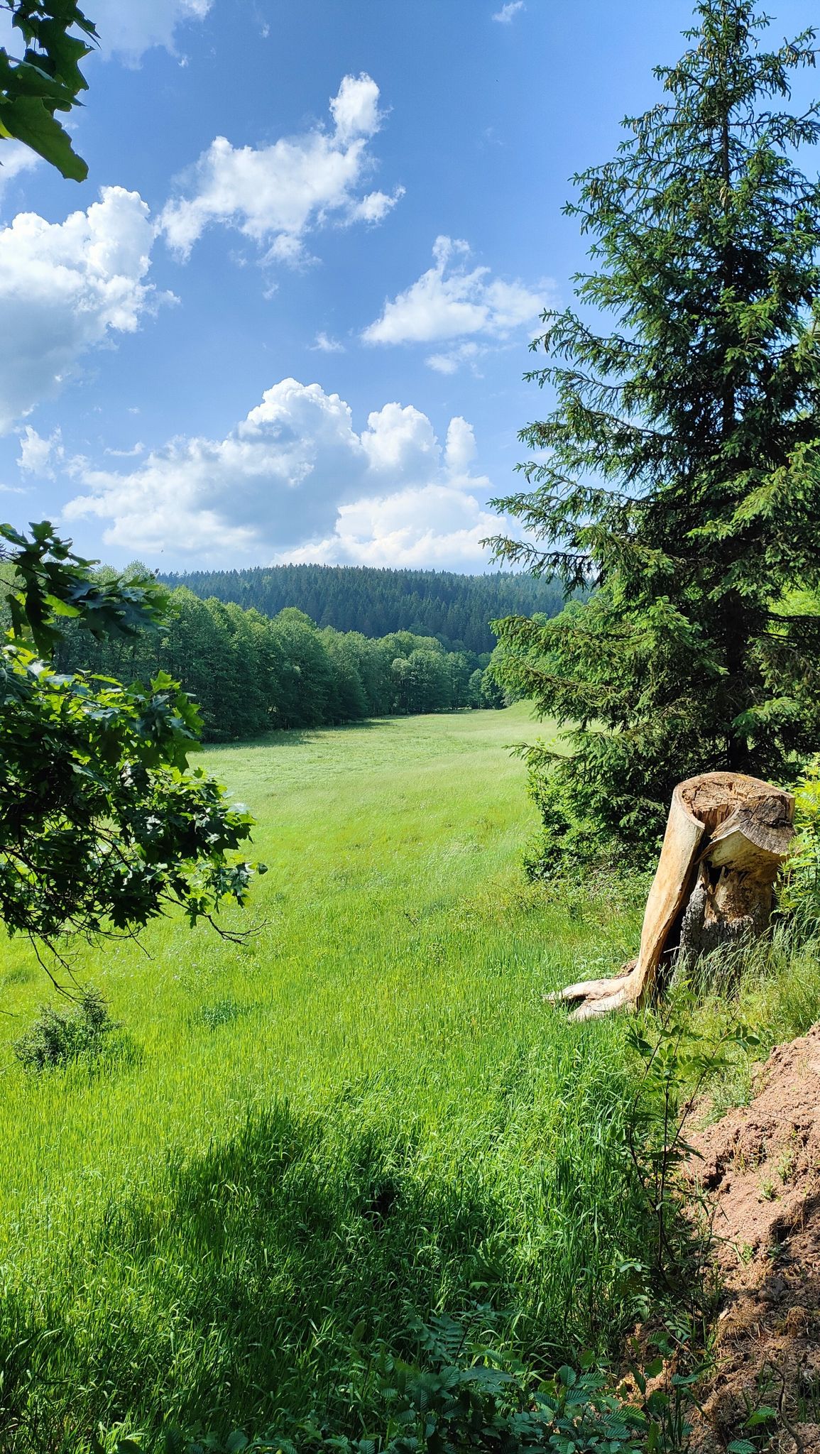 Letzter Blick ins Roßbachtal