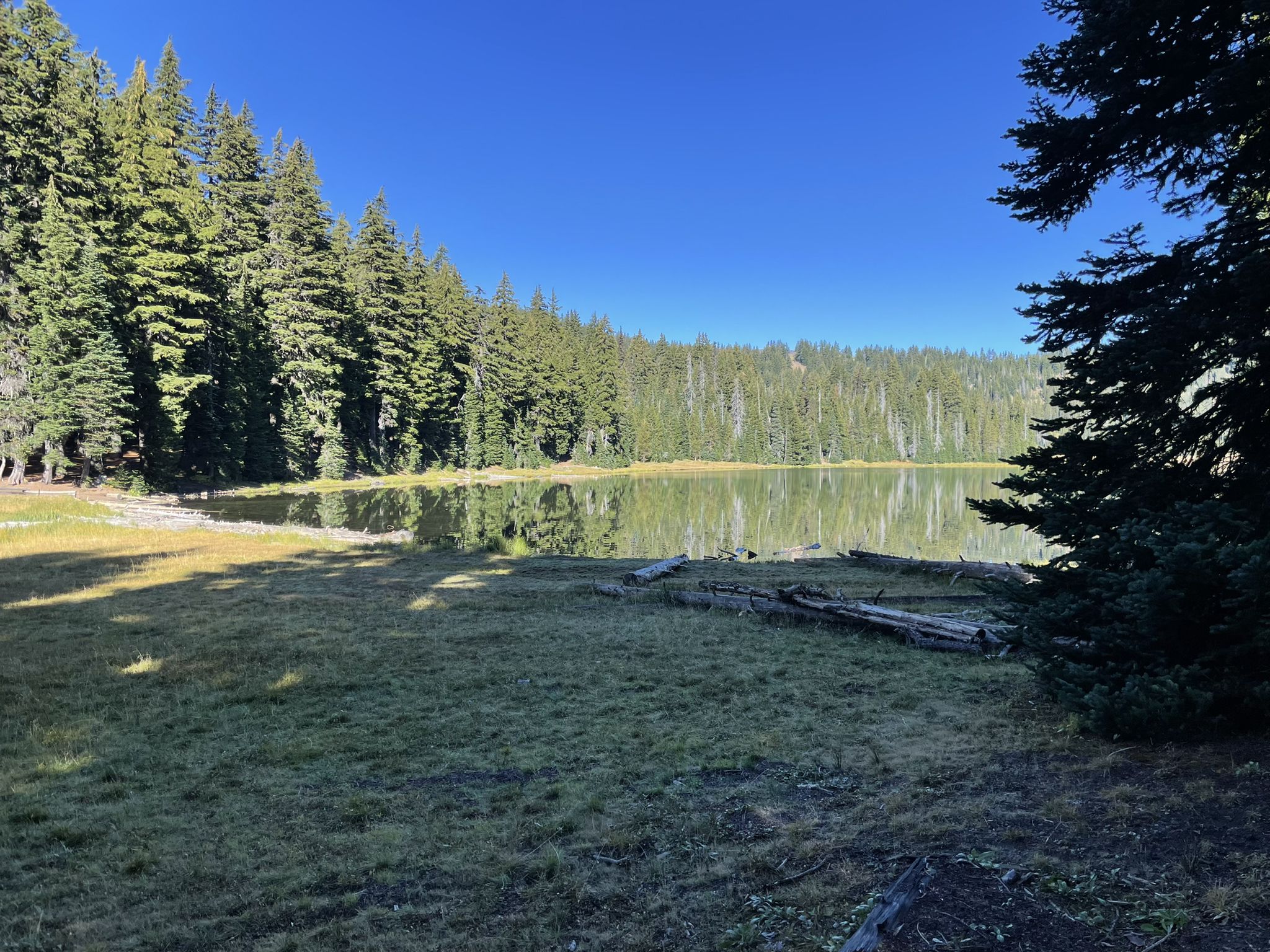 Calm lake reflecting pine trees, surrounded by green grass. - Todd Lake loop from Todd Creek Trailhead