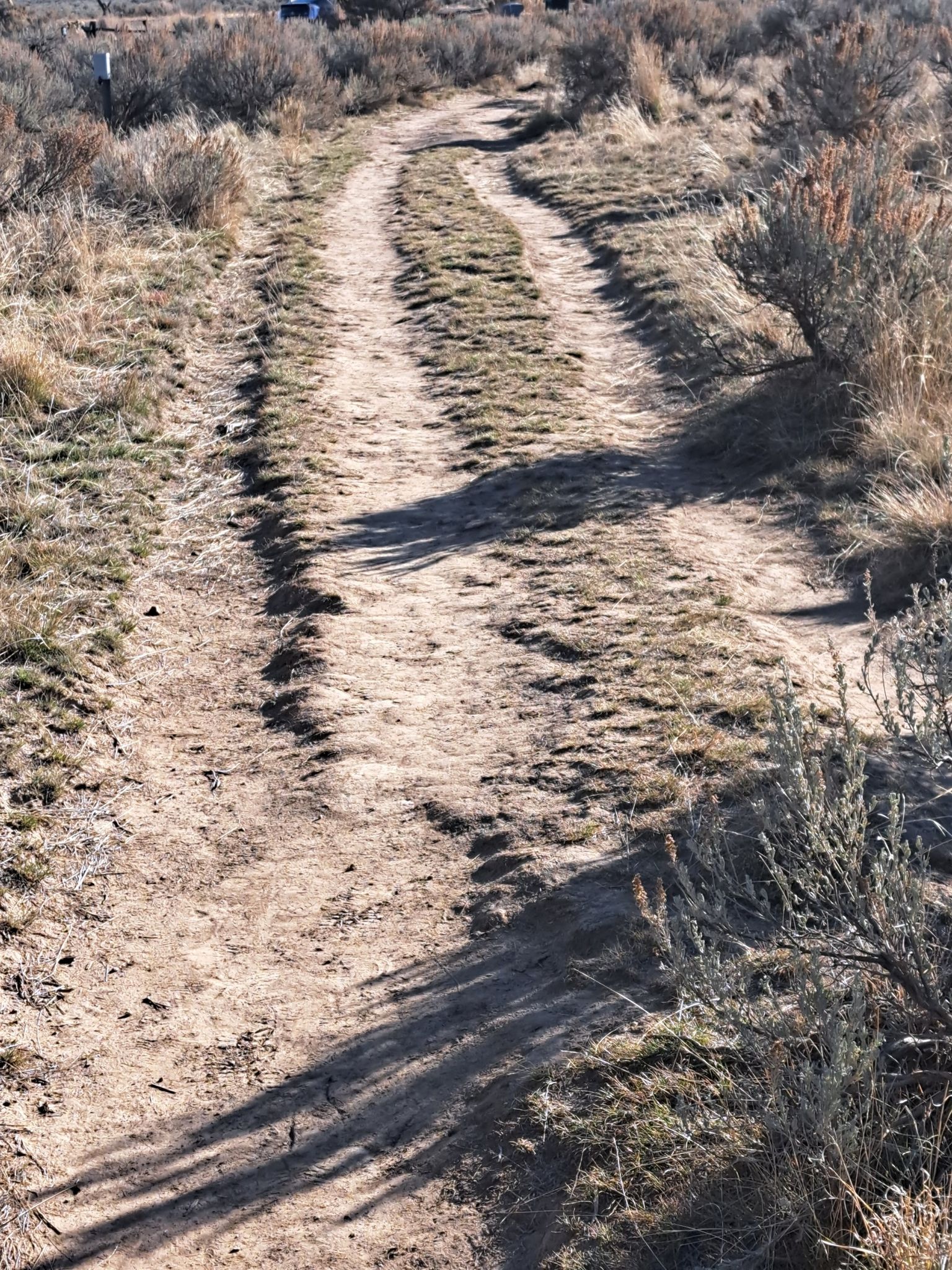 original Oregon trail