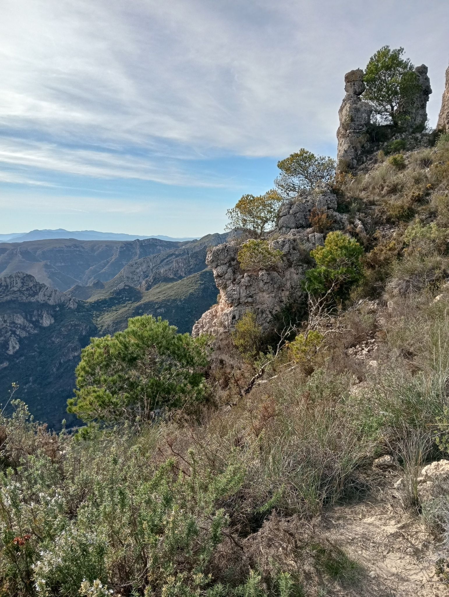 Horizonte azul