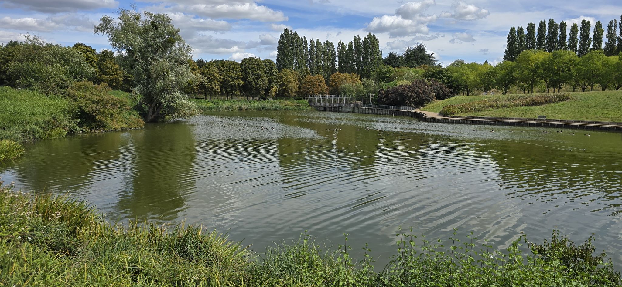 Etang de Savigny. Parc du Sausset. Aulnay Sous Bois 93