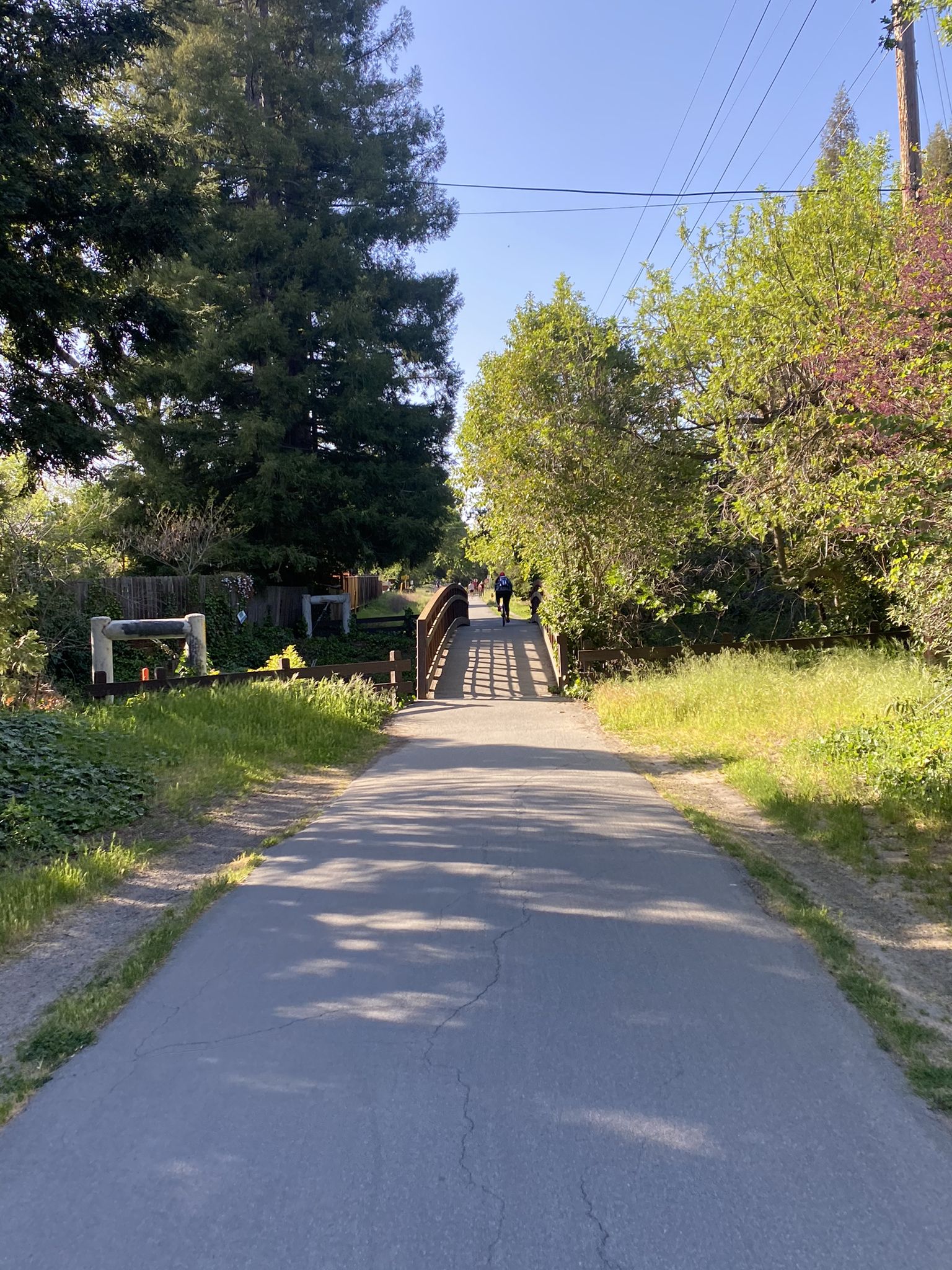 Paved path leading to a wooden bridge with people walking, surrounded by trees. - Iron Horse Trail: Danville to Alamo