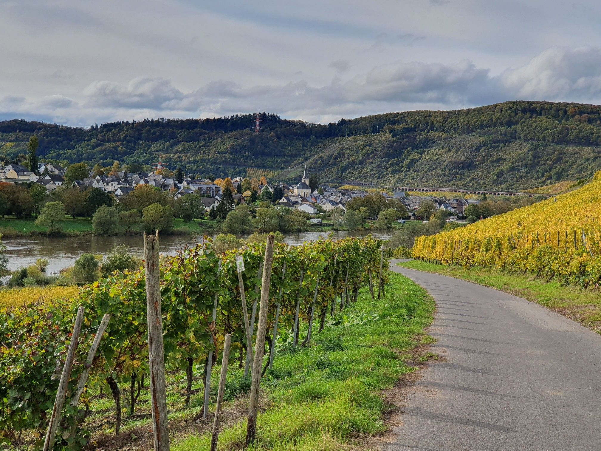 Pünderich