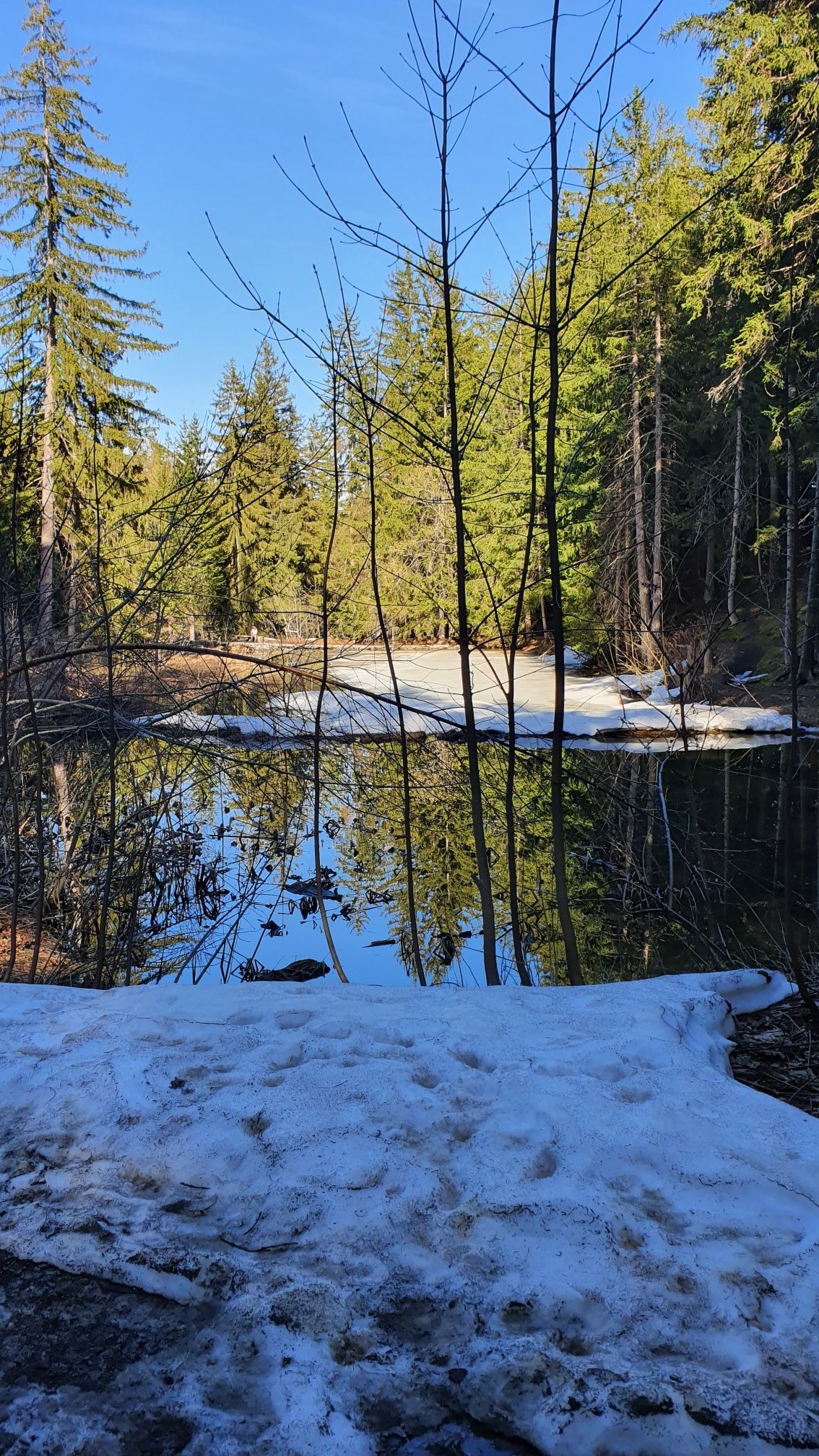 Etang des Briesses