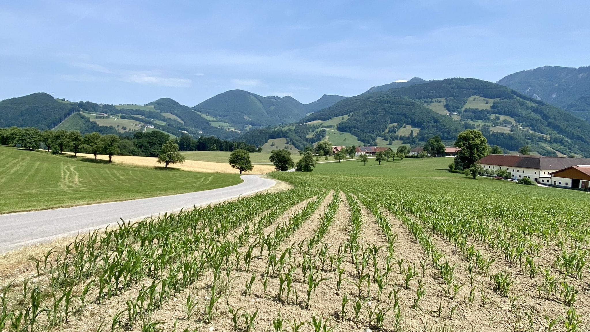Windhagerstraße nach Obergrünburg