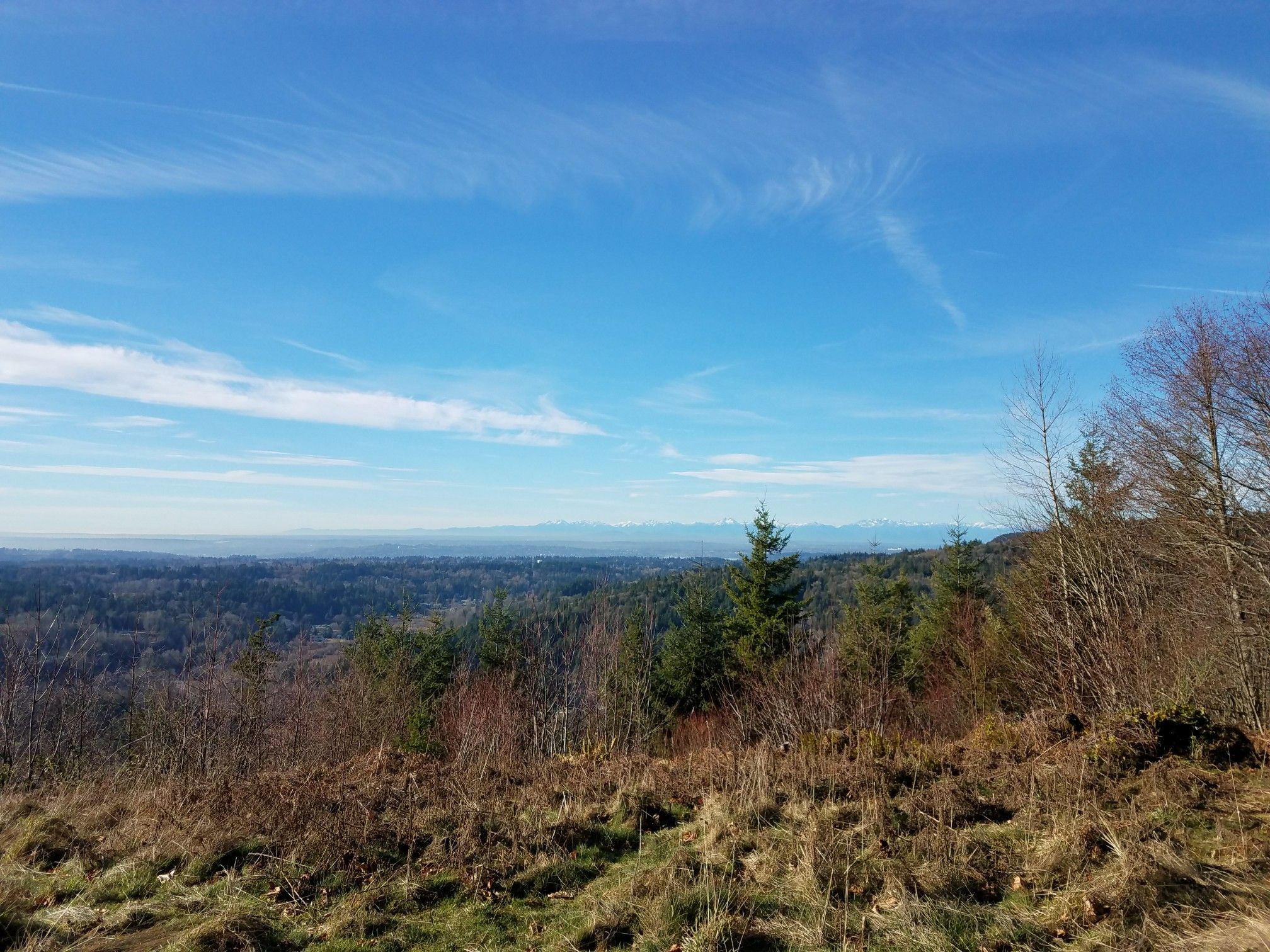 Expansive forest view under a bright blue sky with distant mountains. - Margaret's Way and West Peak Loop