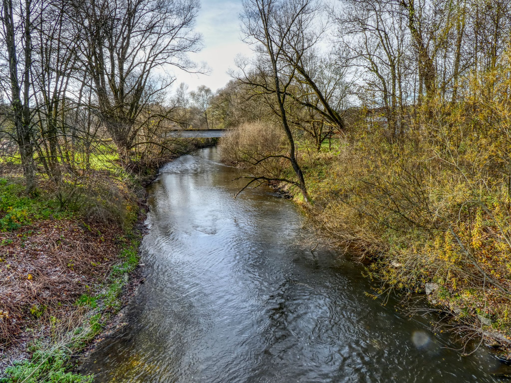 Die Schussen bei Oberzell