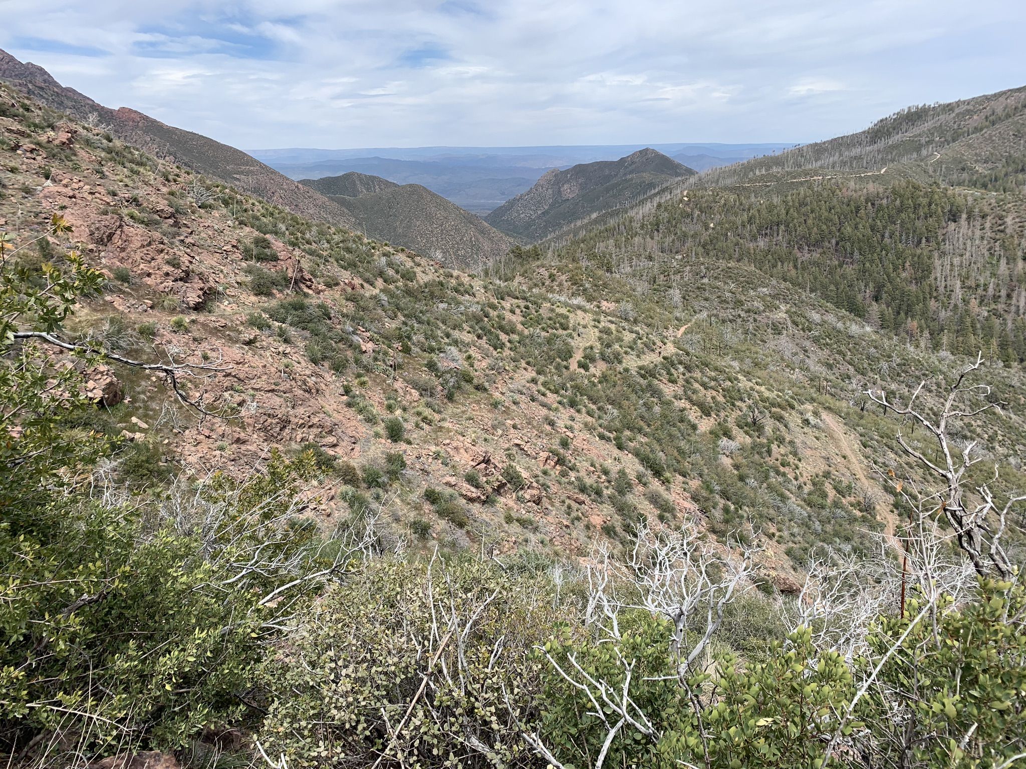 Expansive view of a rugged mountain valley with rocky slopes and sparse vegetation. - Mount Peeley Trail