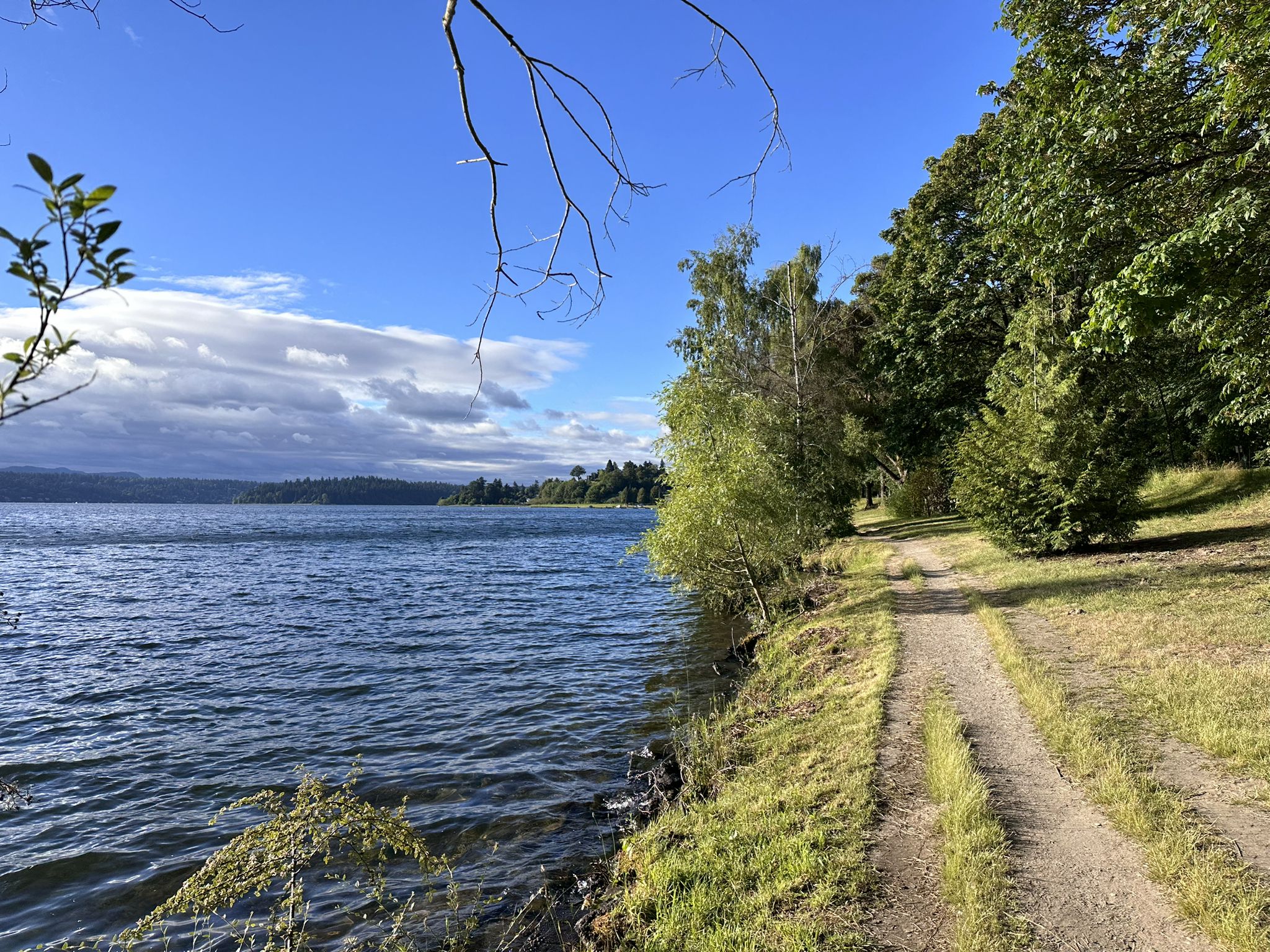 Dirt path next to a lake with trees under a partly cloudy sky. - Lake Washington Boulevard Trail