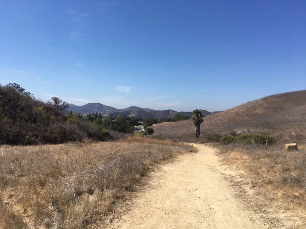 A dirt path through dry fields, with a palm tree and distant hills. - Simi Peak – China Flat plateau loop from Oak Park