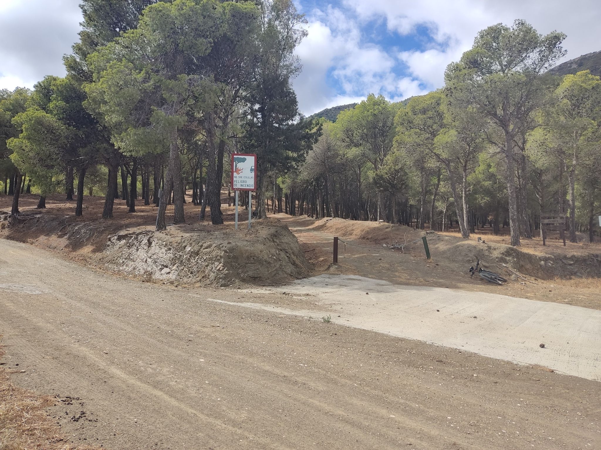 Cruce caminos
