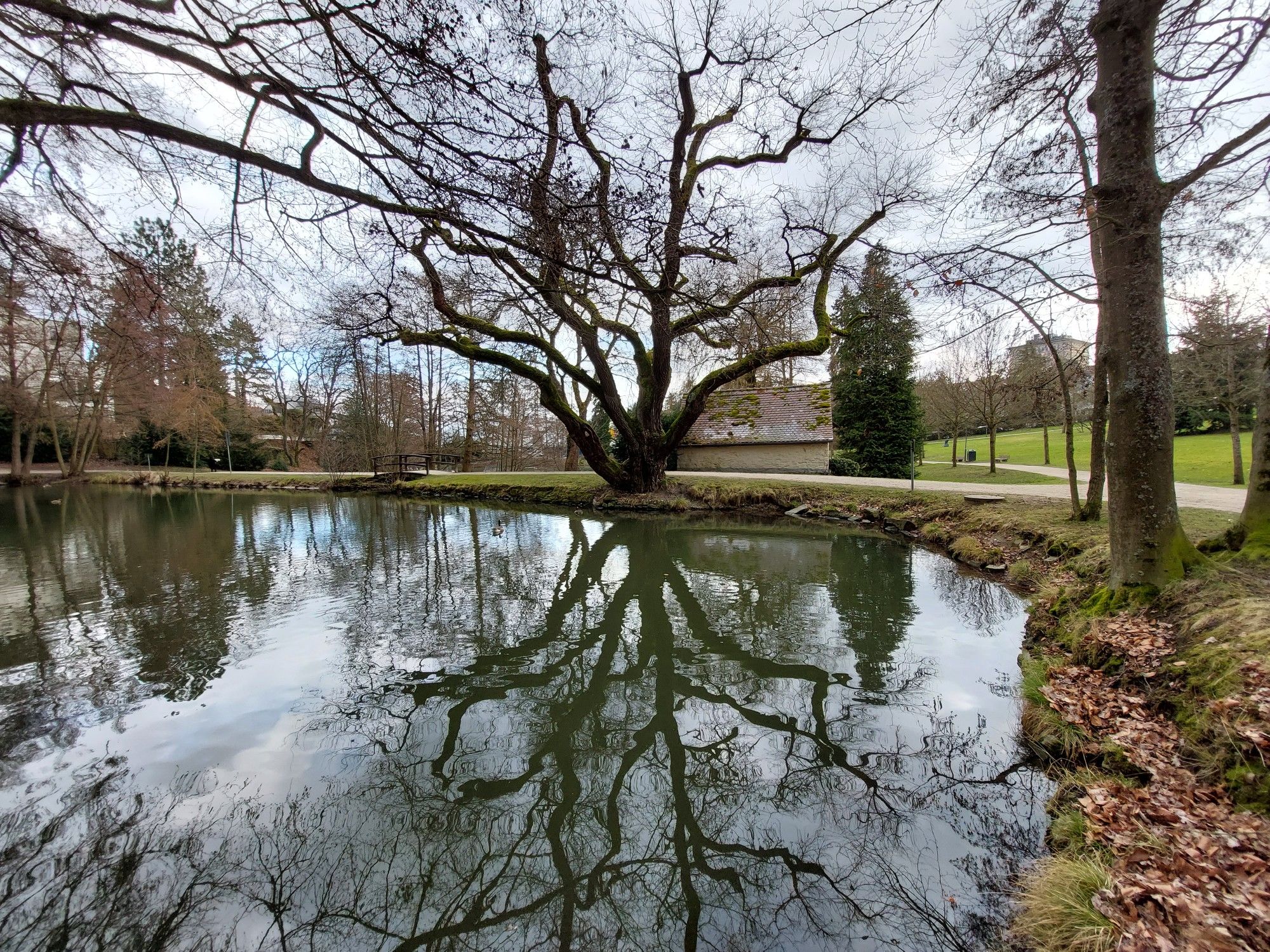 Bleich- und Schillerweiher mit dem alten Waschhaus