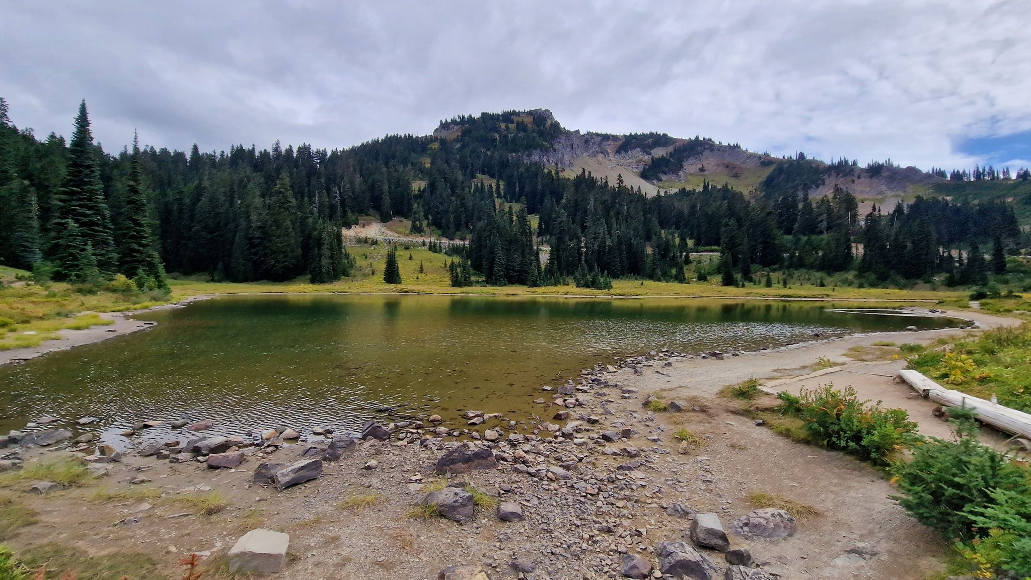Calm lake with rocky shore, surrounded by evergreen trees and a mountain. - Tipsoo Lake Loop