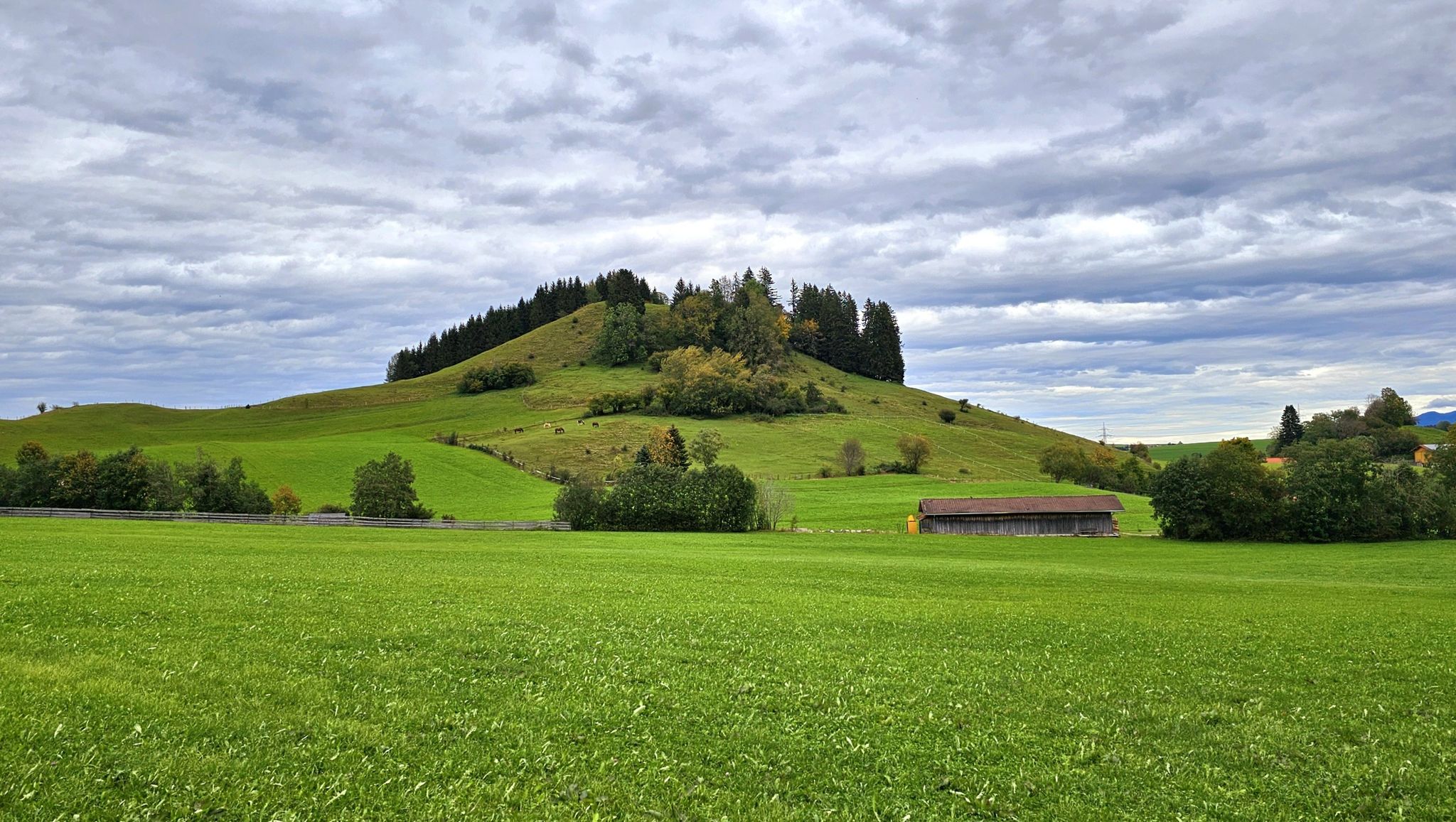 Aussichtspunkt Großer Josberg (984m)
