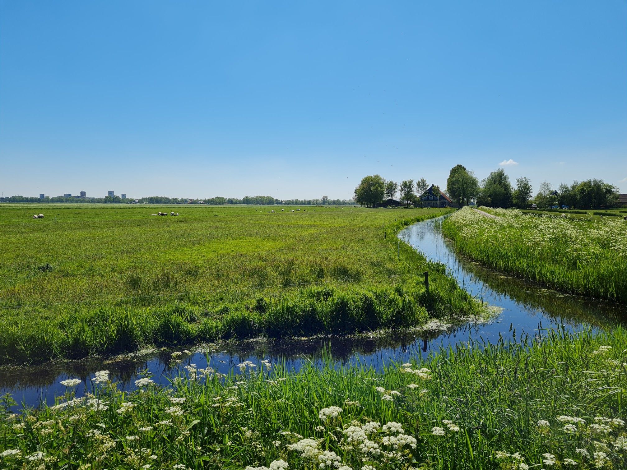 Graverij