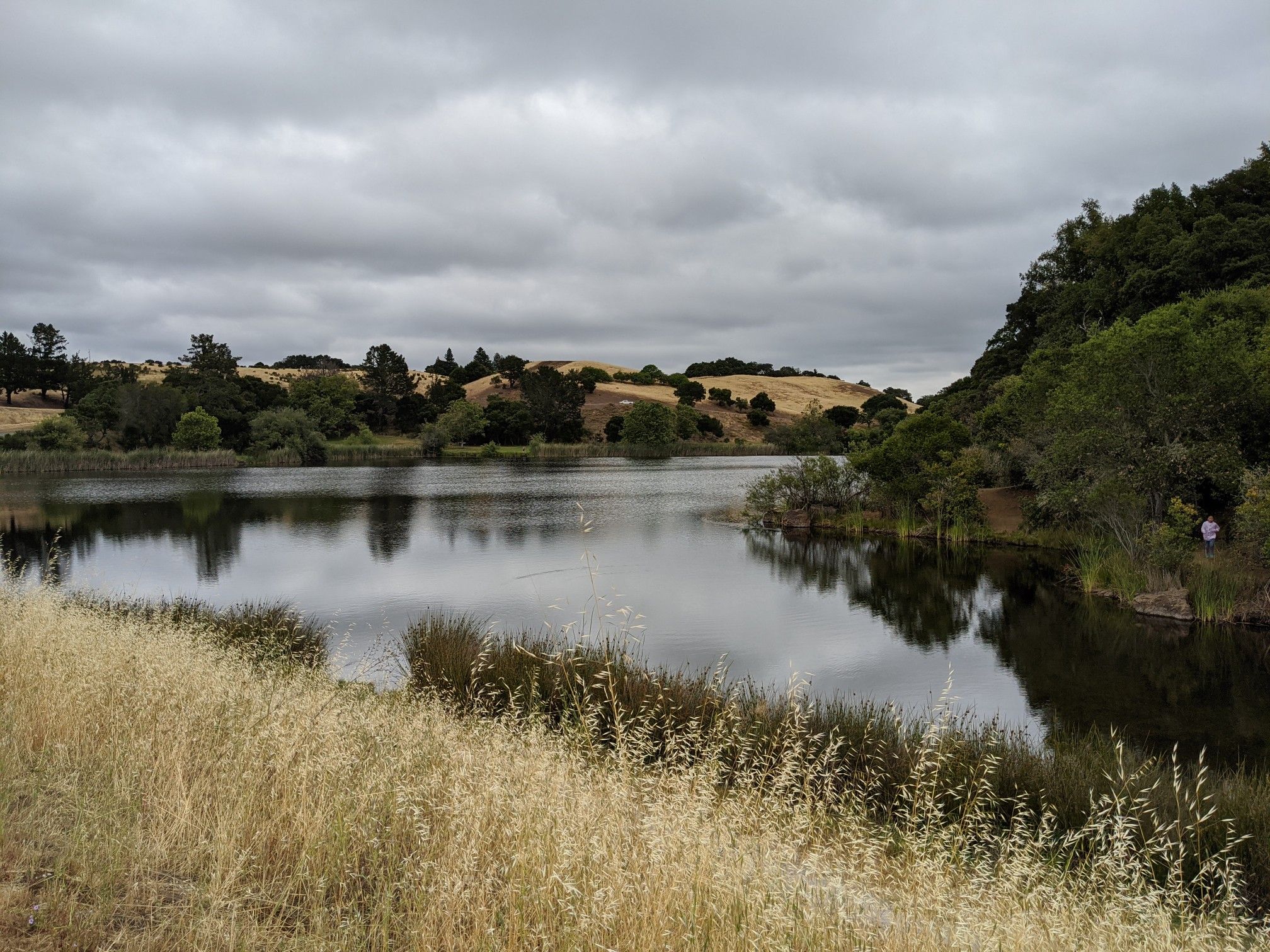 Calm lake surrounded by golden hills and green trees under a cloudy sky. - Boronda Lake – Foothills Nature Preserve loop from Enid Pearson-Arastradero Preserve