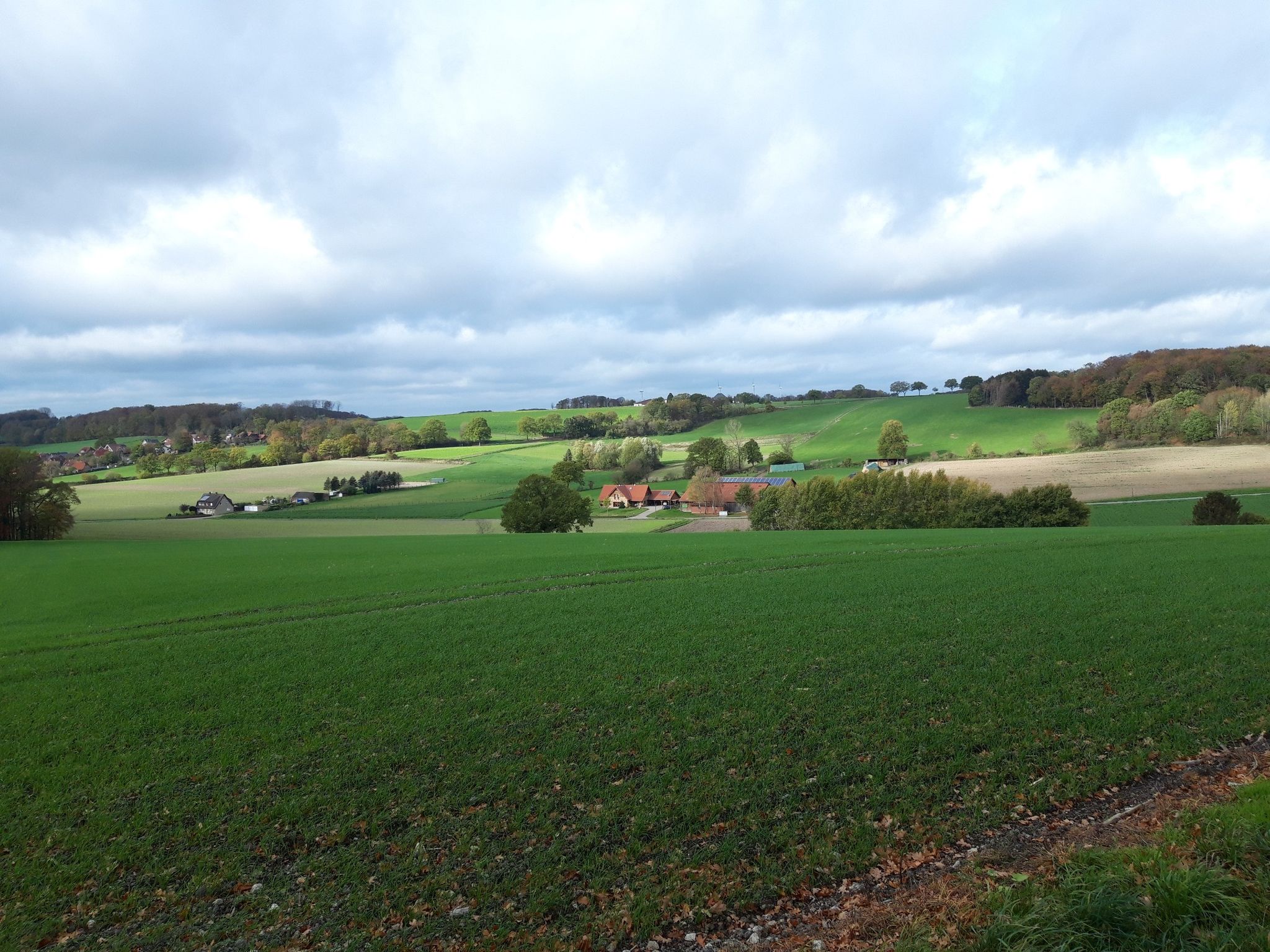 Baumberge