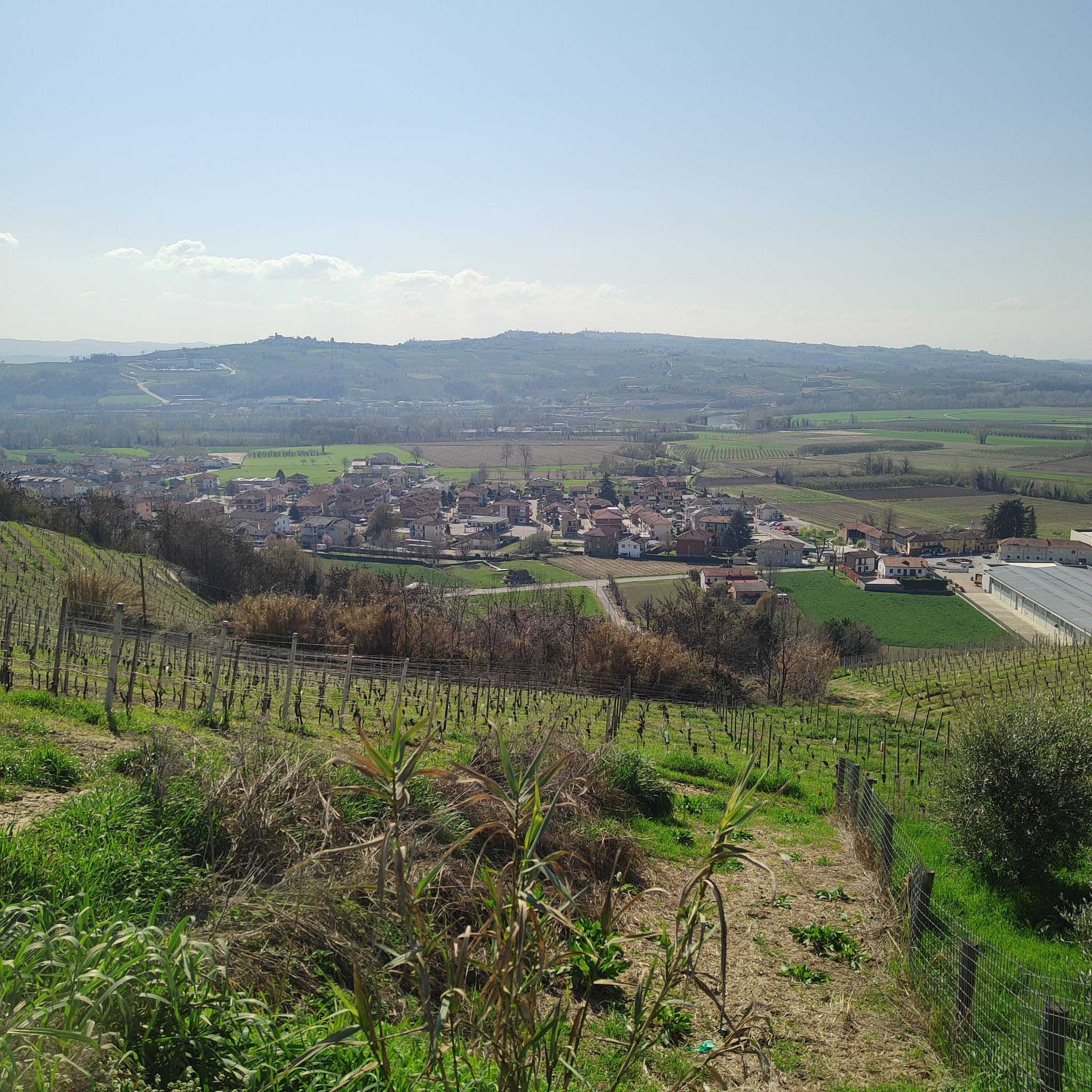 Vista su Cinzano ed in collina l'ospedale di Verduno