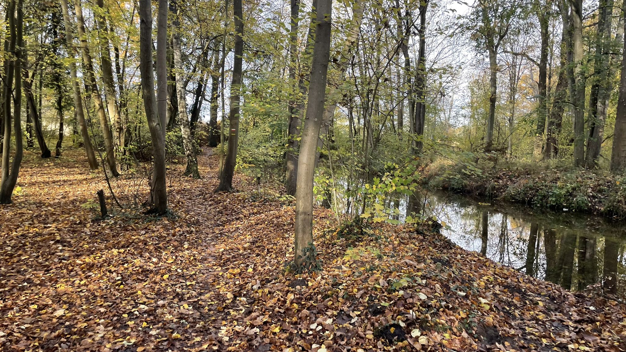Single longeant la Thève