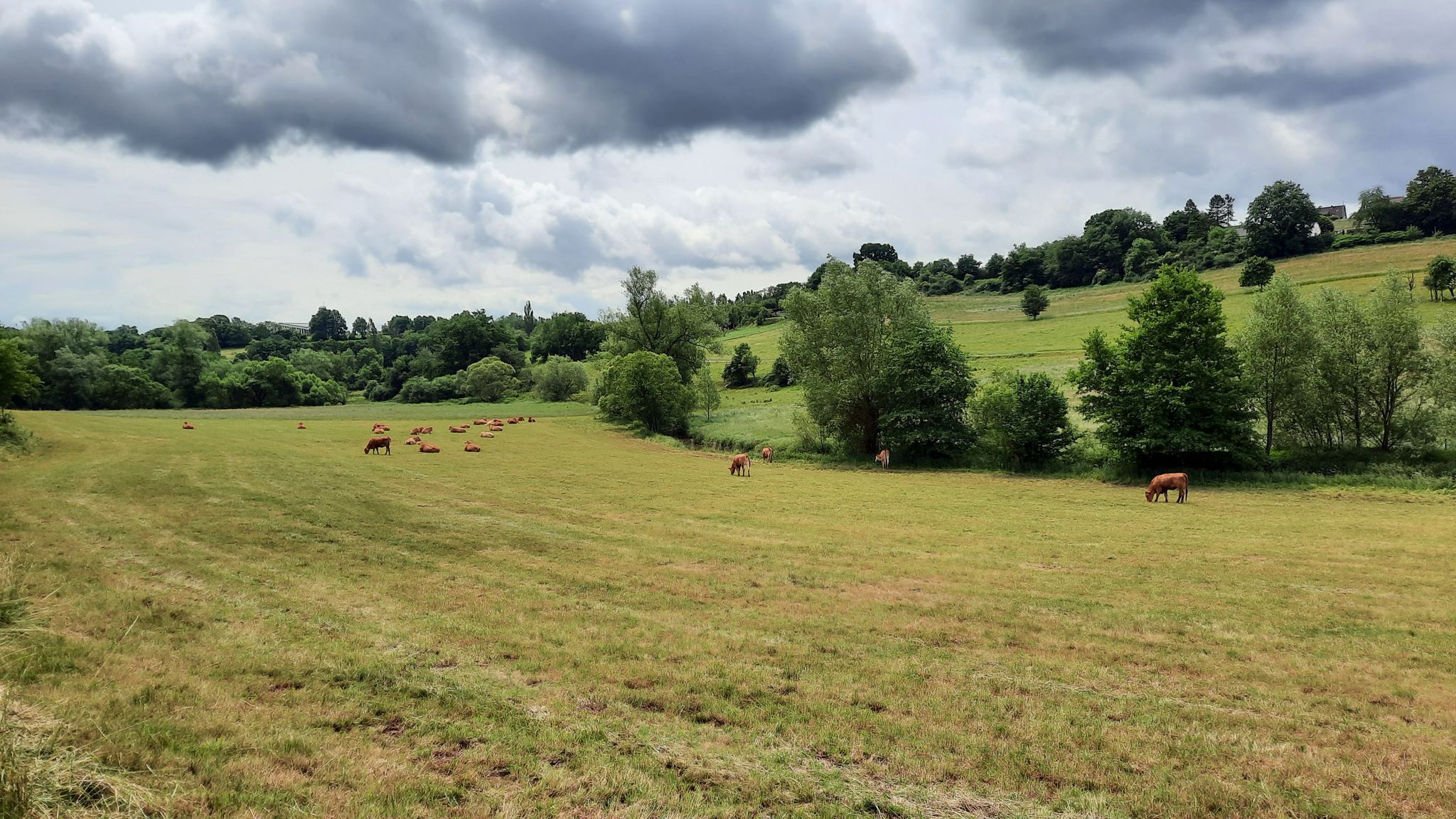 Landschaftspfleger am Ohmbach