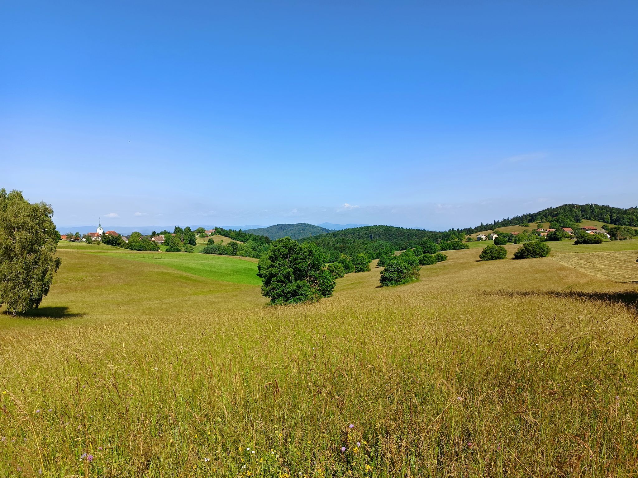 Veliki Lipoglav