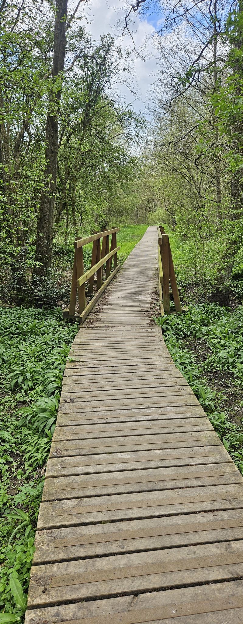 The Walk Way