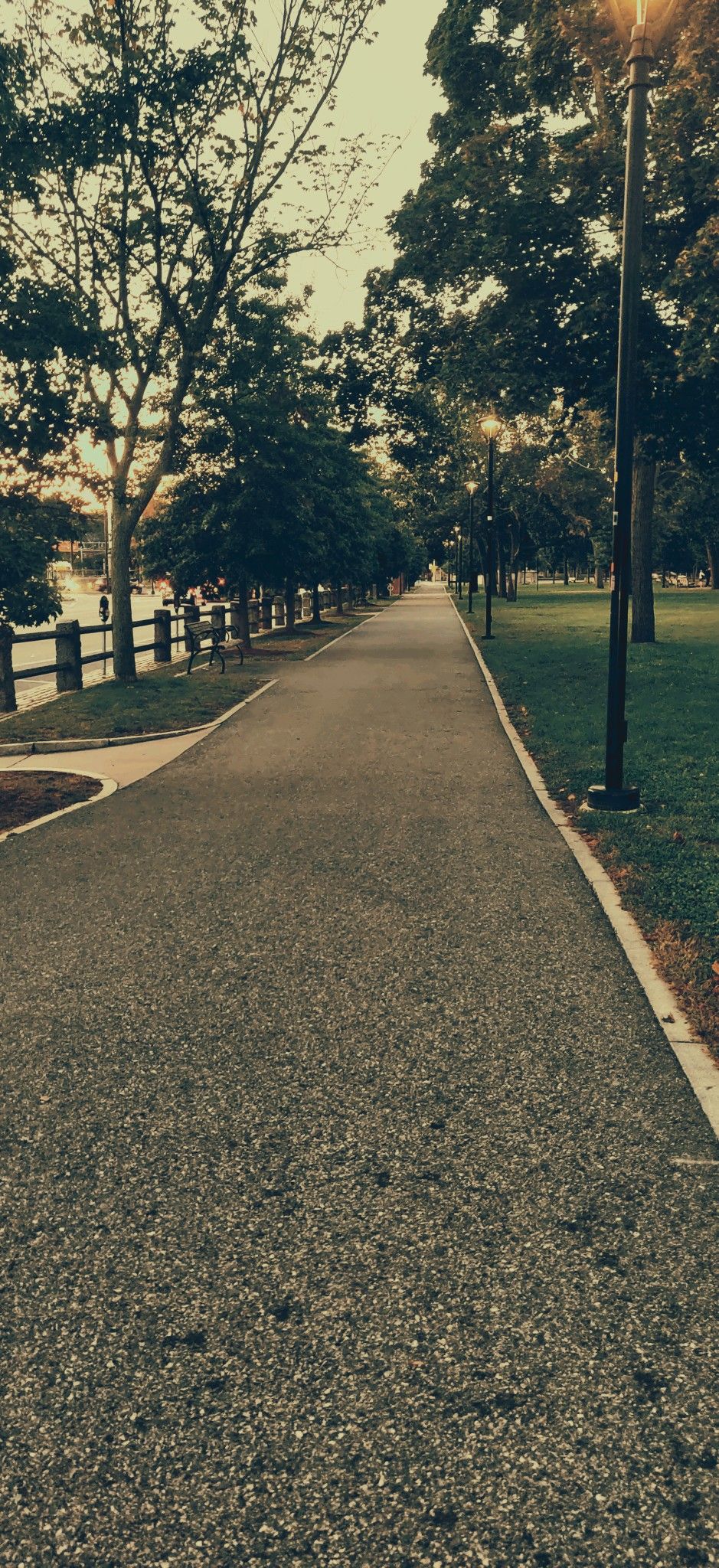 Long paved path lined with trees and streetlights, bathed in soft evening light. - Cambridge Common Loop