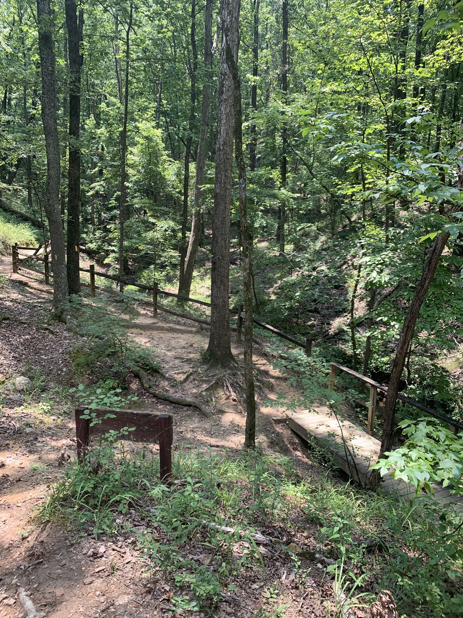 Sunny forest path with wooden fence leading to a small bridge over a stream. - Peavine Falls via Green and Treetop Trails